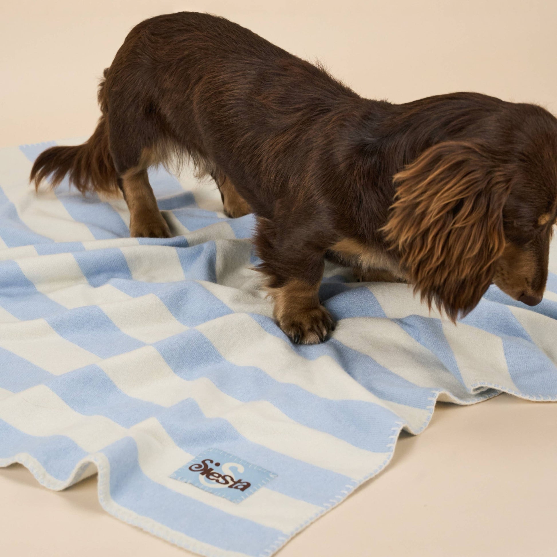Soft lightweight Siesta pet blanket in a timeless blue and cream stripe.