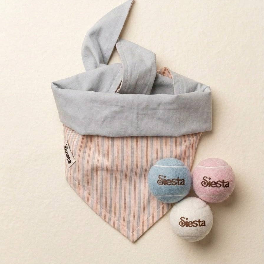 Siesta Playtime & Walk Kit with cotton dog bandana and three colourful tennis balls.