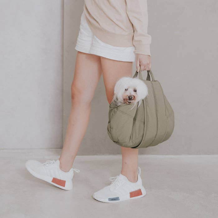 Person holding a green pet carrier with a small white dog inside against a plain background