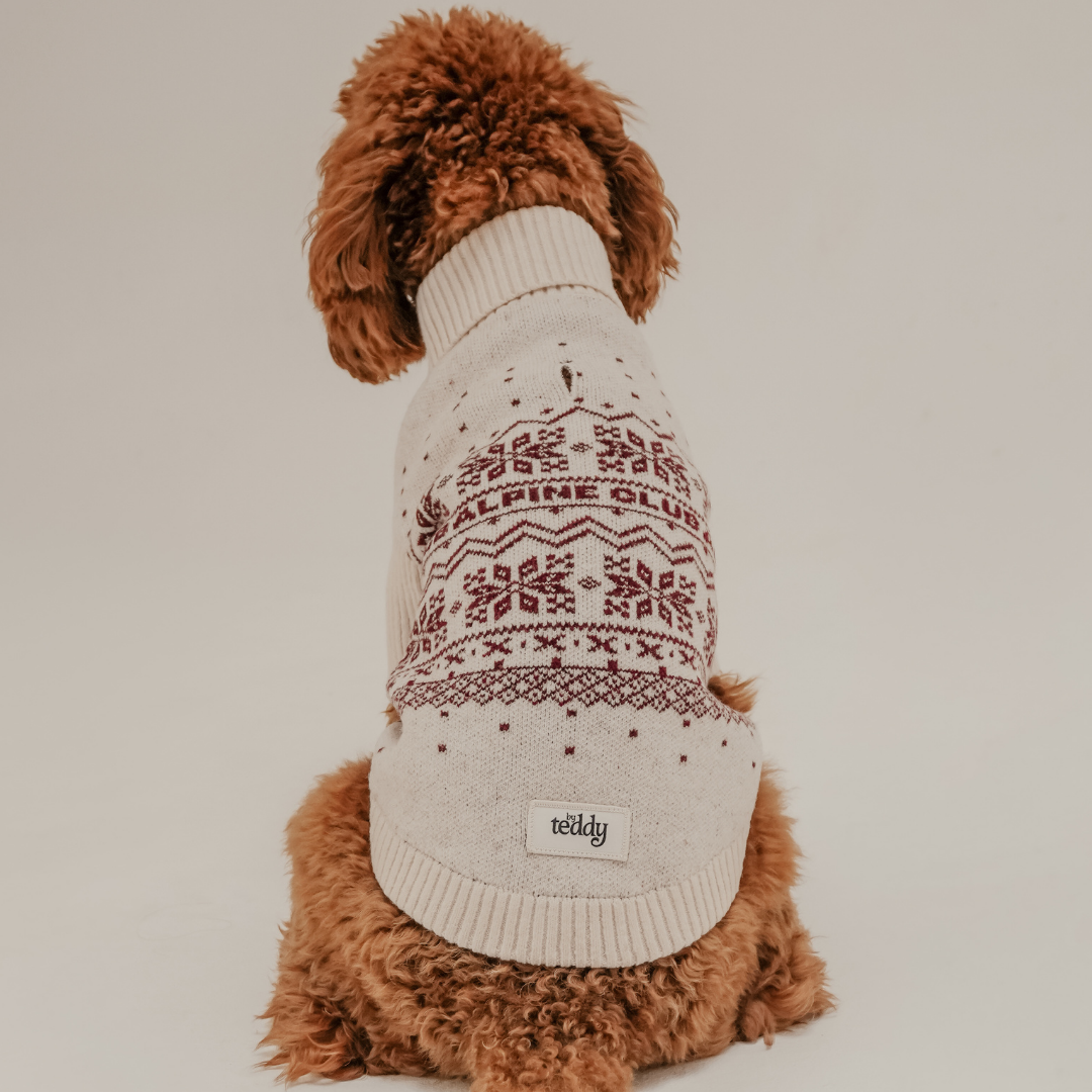 Snowberry Après Ski knitted dog jumper by By Teddy