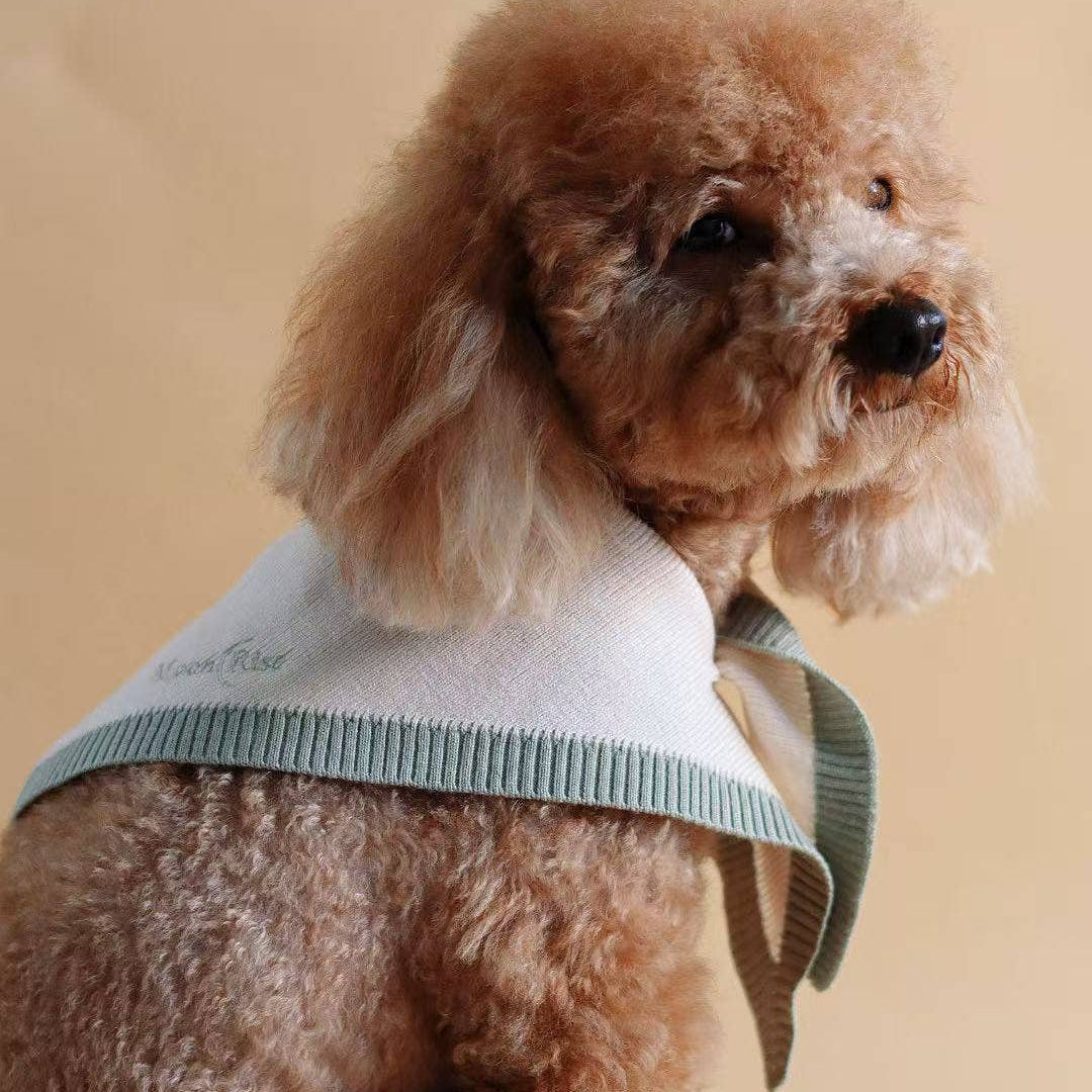 Modern dog bandana designed for everyday walks, celebrations and dog-friendly events.