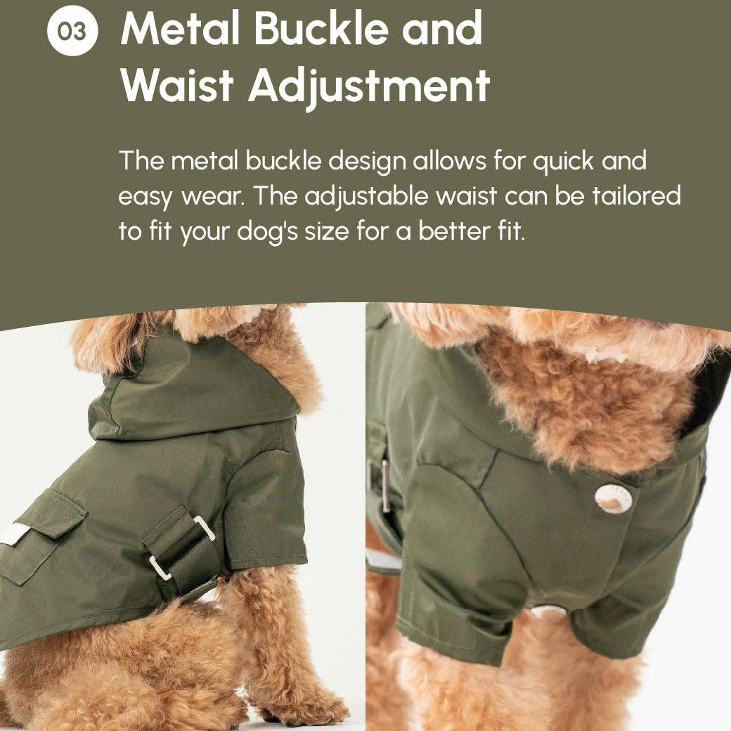 Dog wearing a green coat with metal buckle and adjustable waist feature.