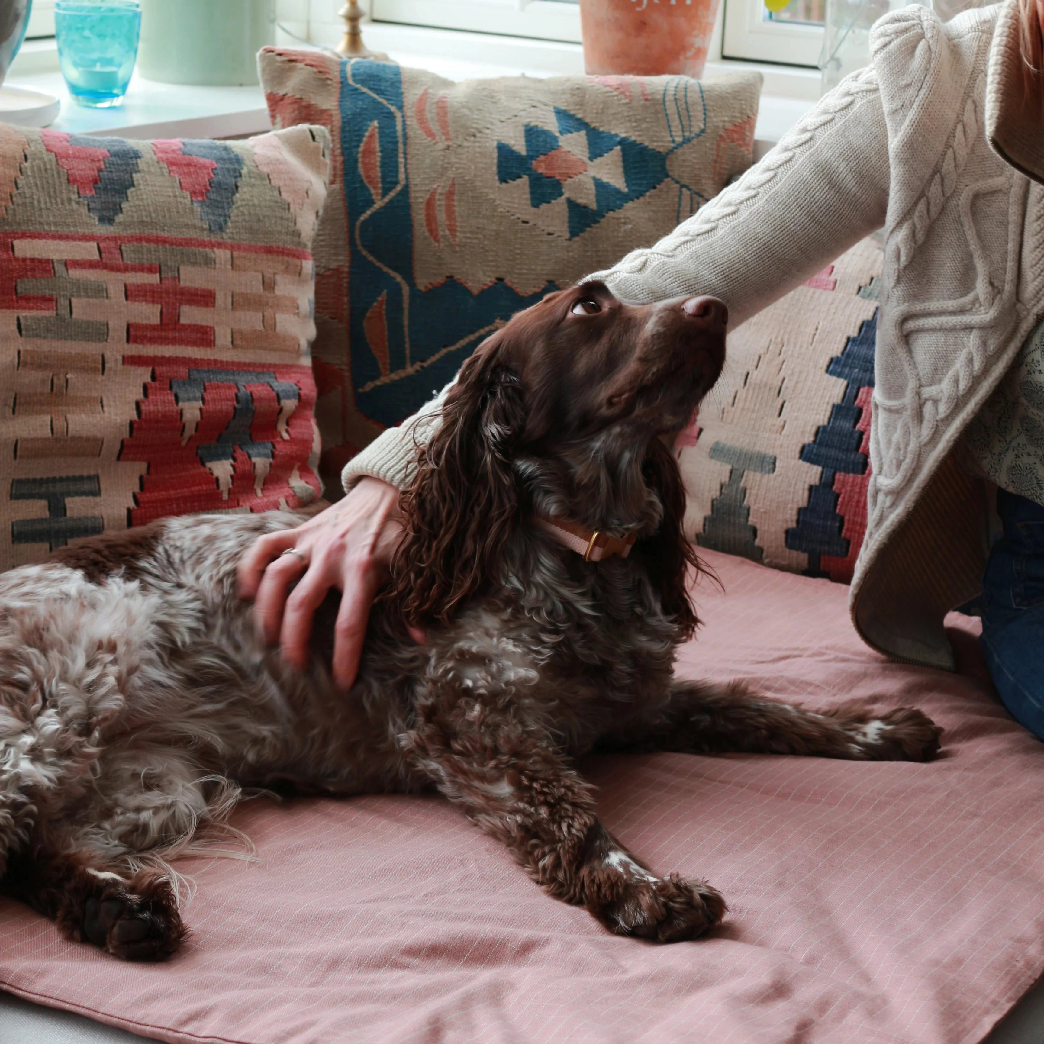 Luxury Tadazhi Duvet Dog Blanket Chequered Rose styled in a modern home