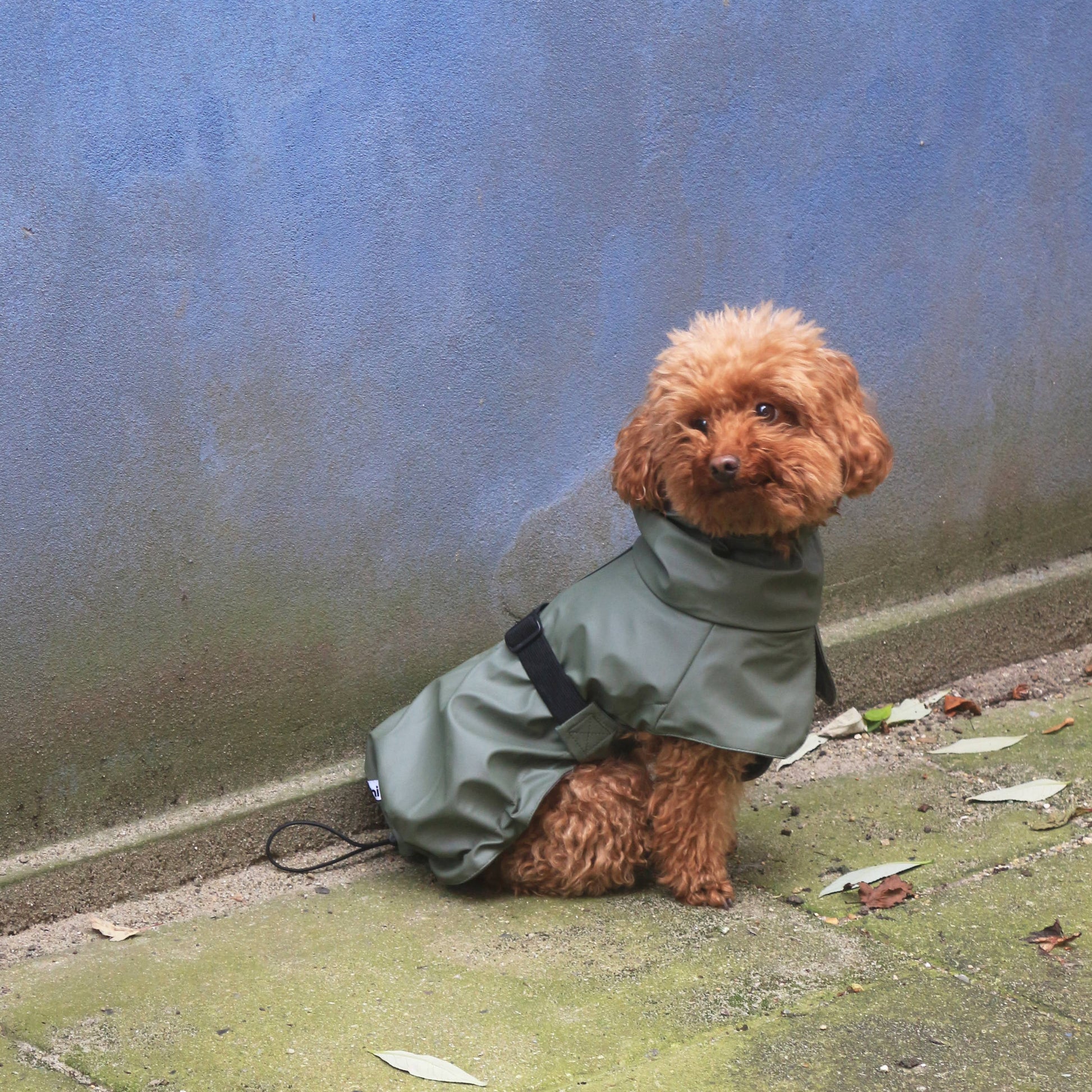 Front view of the Tadazhi Raincoat Green with foldable protective collar