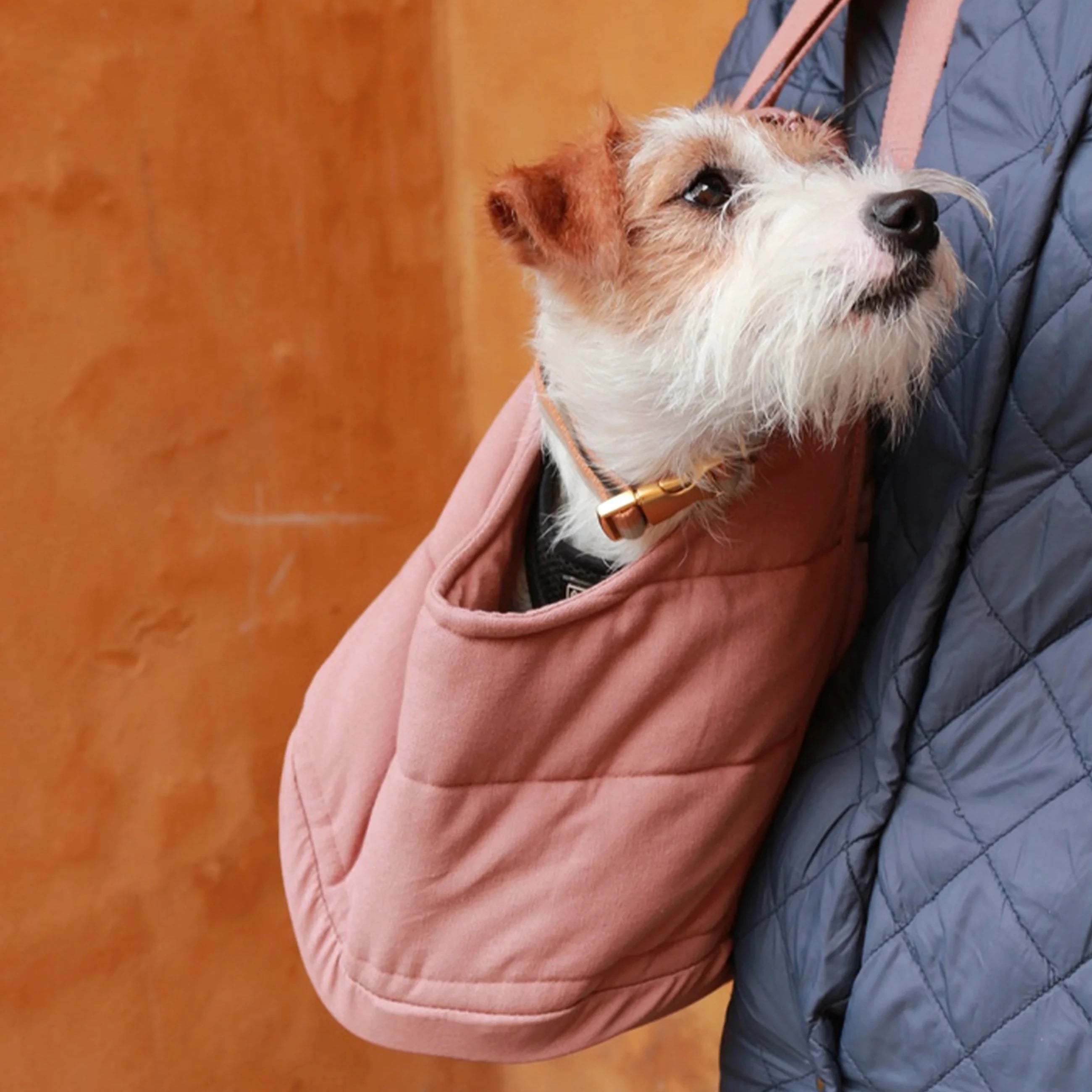 Spacious interior of the Tadazhi Rio Dog Carrier Bag Rose with safety strap
