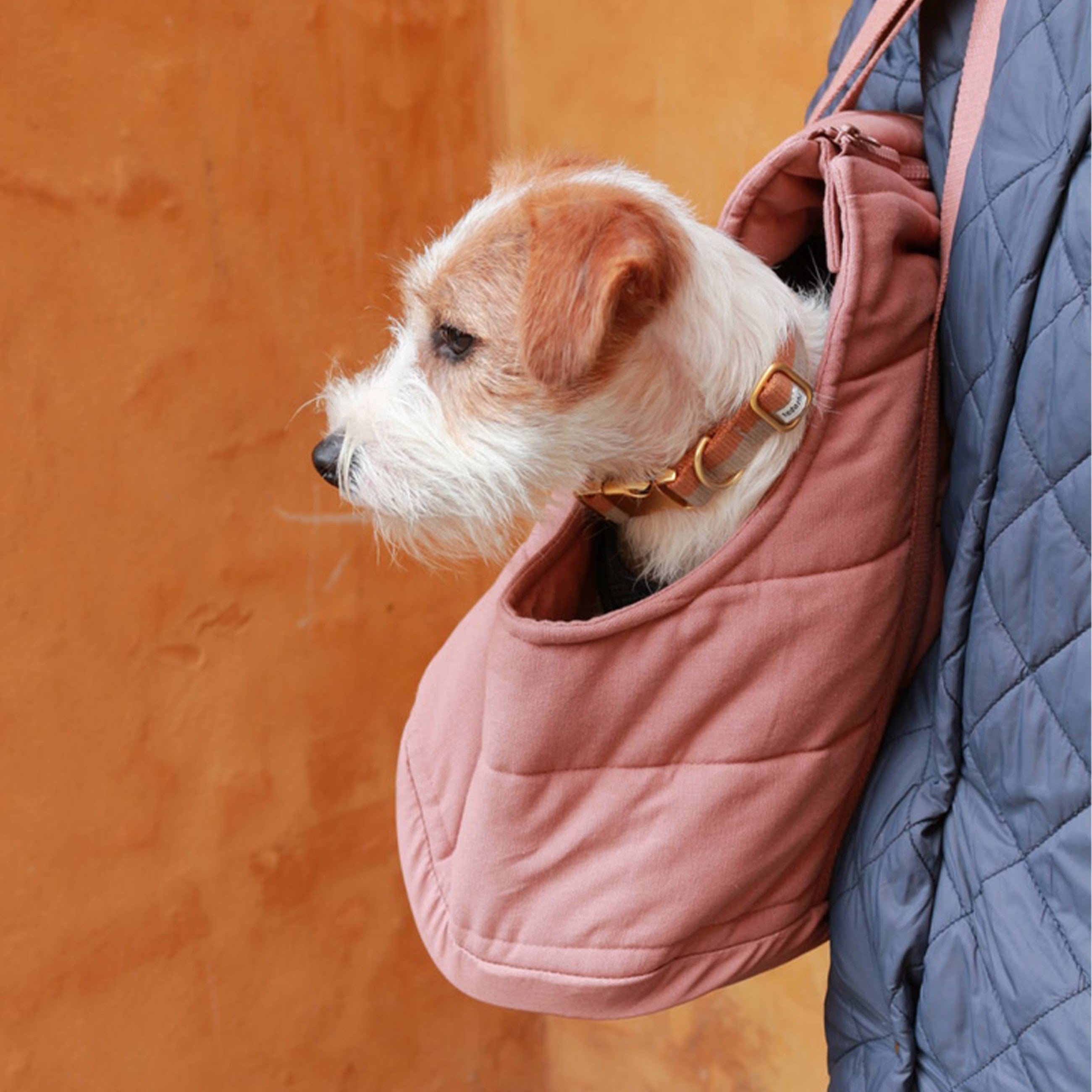 Small dog relaxing inside the Tadazhi Rio Dog Carrier Bag Rose during travel