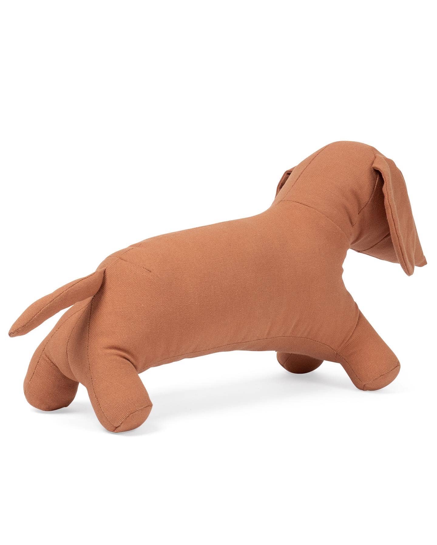 Tadazhi Toy Dog Lifestyle