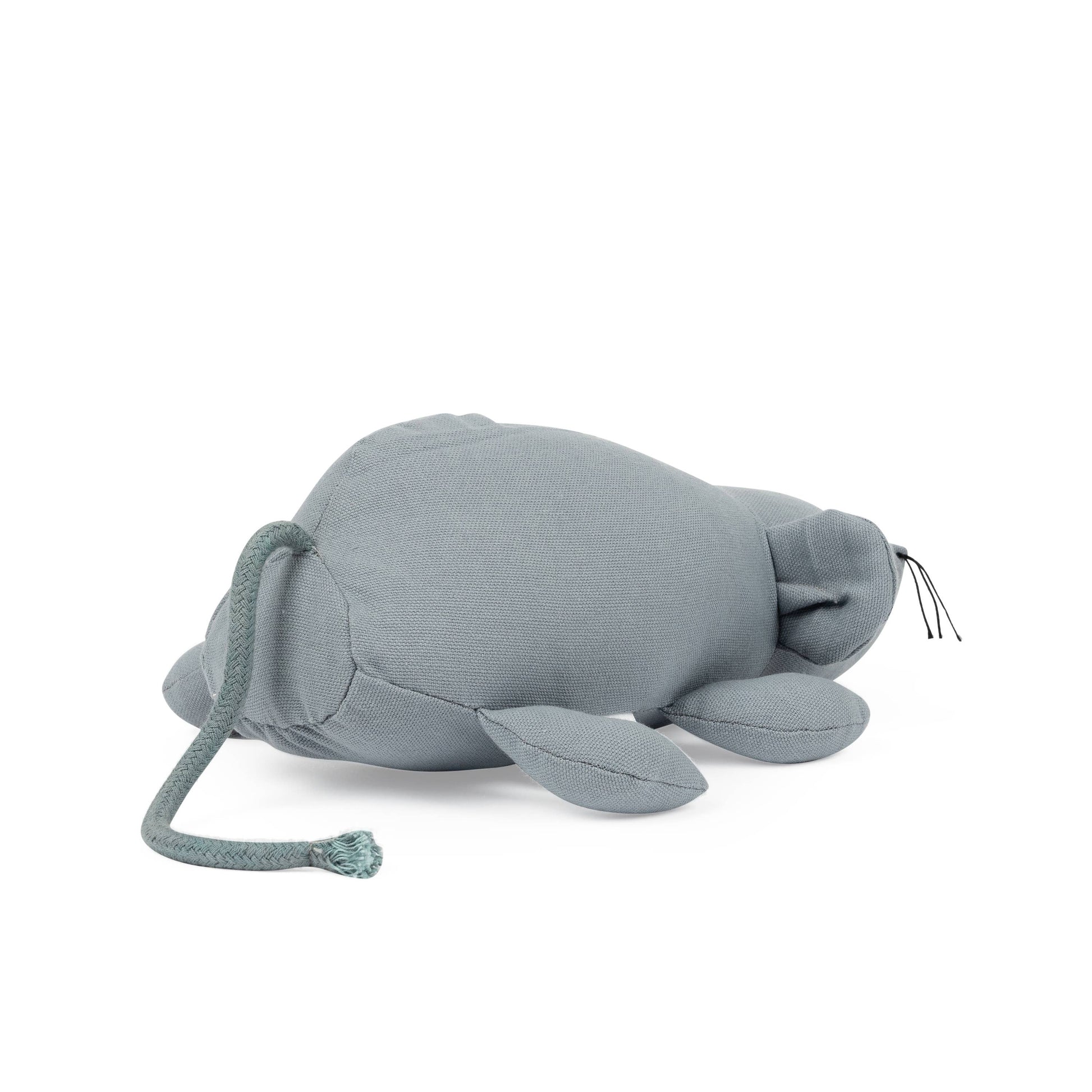 Tadazhi Toy Rat Lifestyle