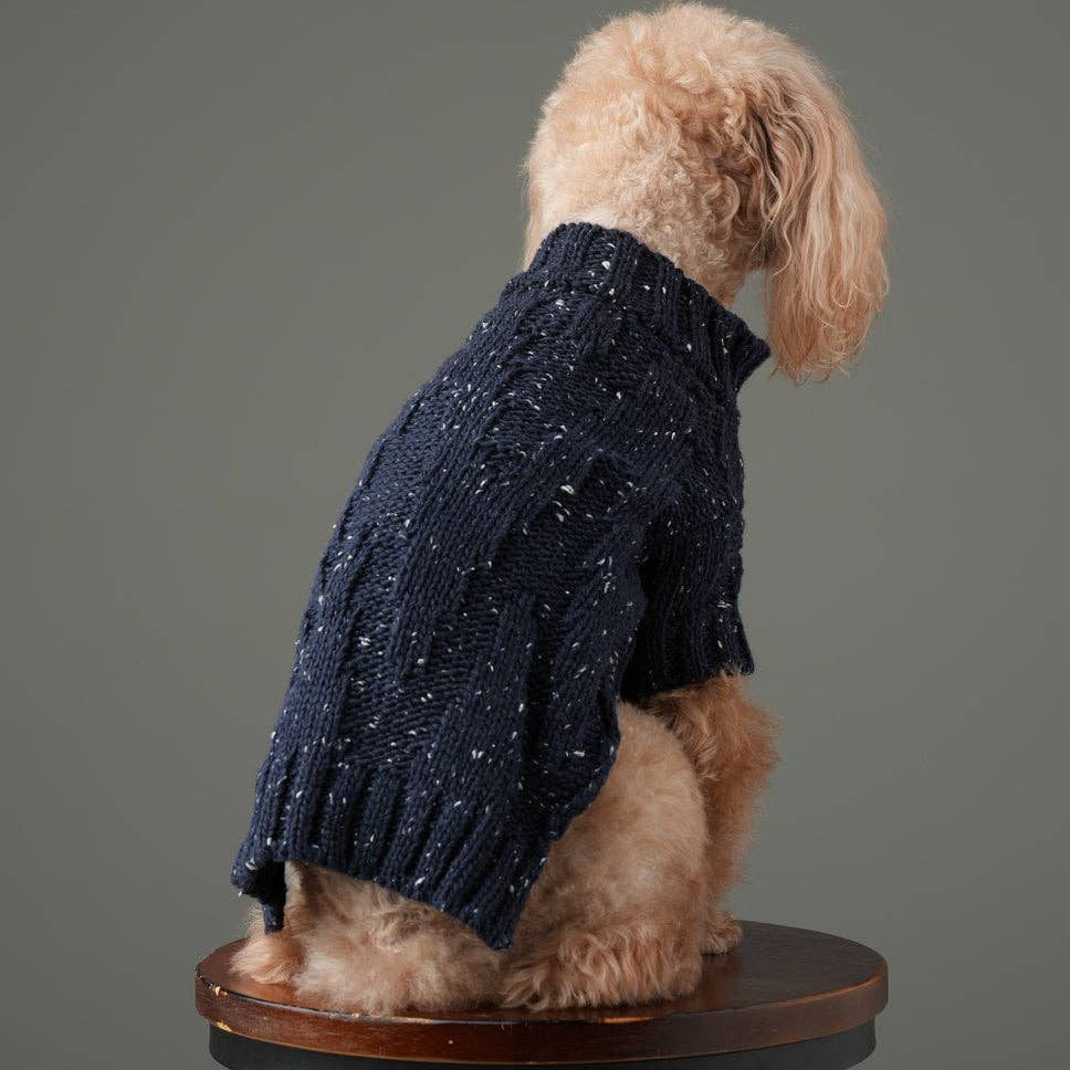 Dog wearing a navy blue sweater on a white background