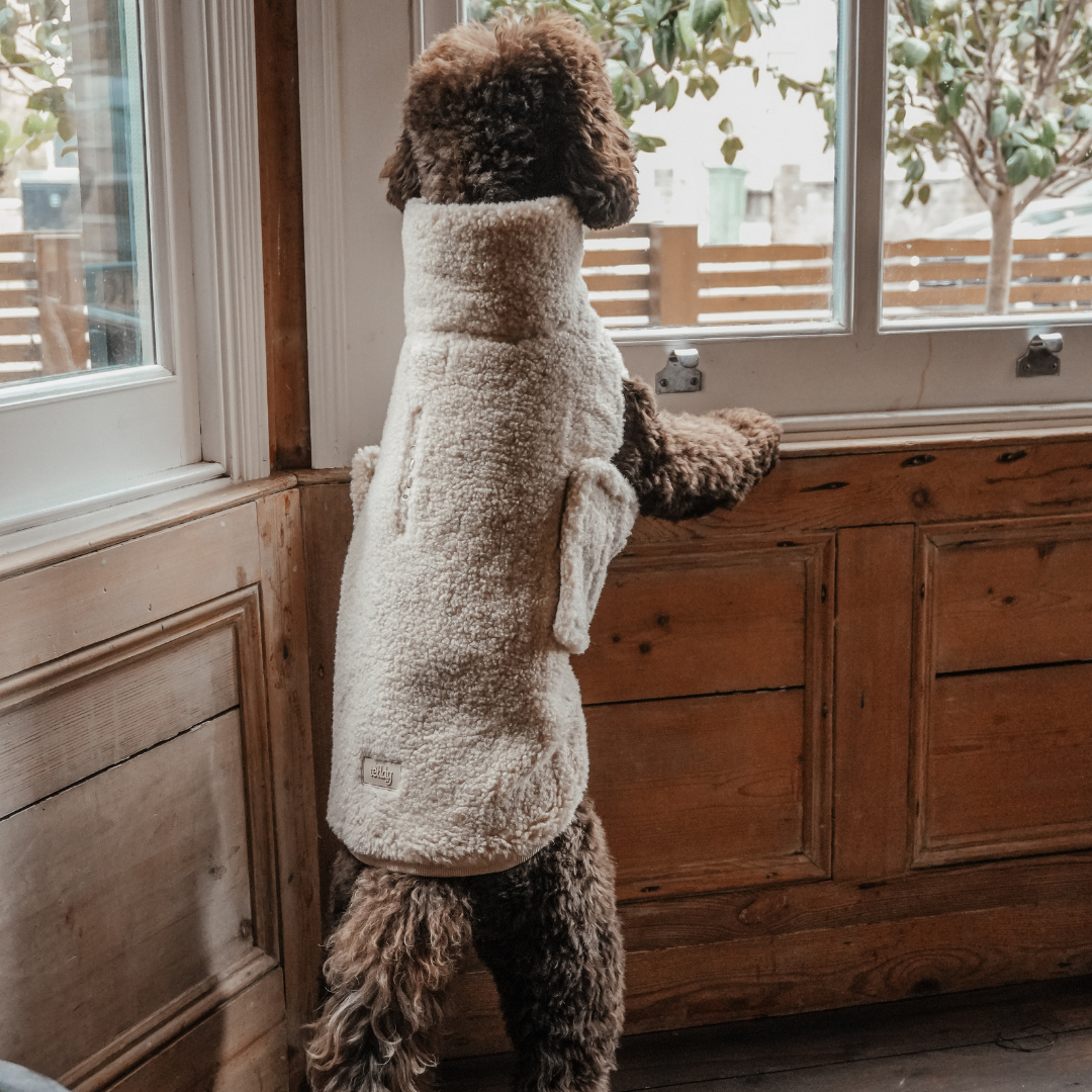 By Teddy The Capsule Cosy Dog Coat with plush sherpa finish