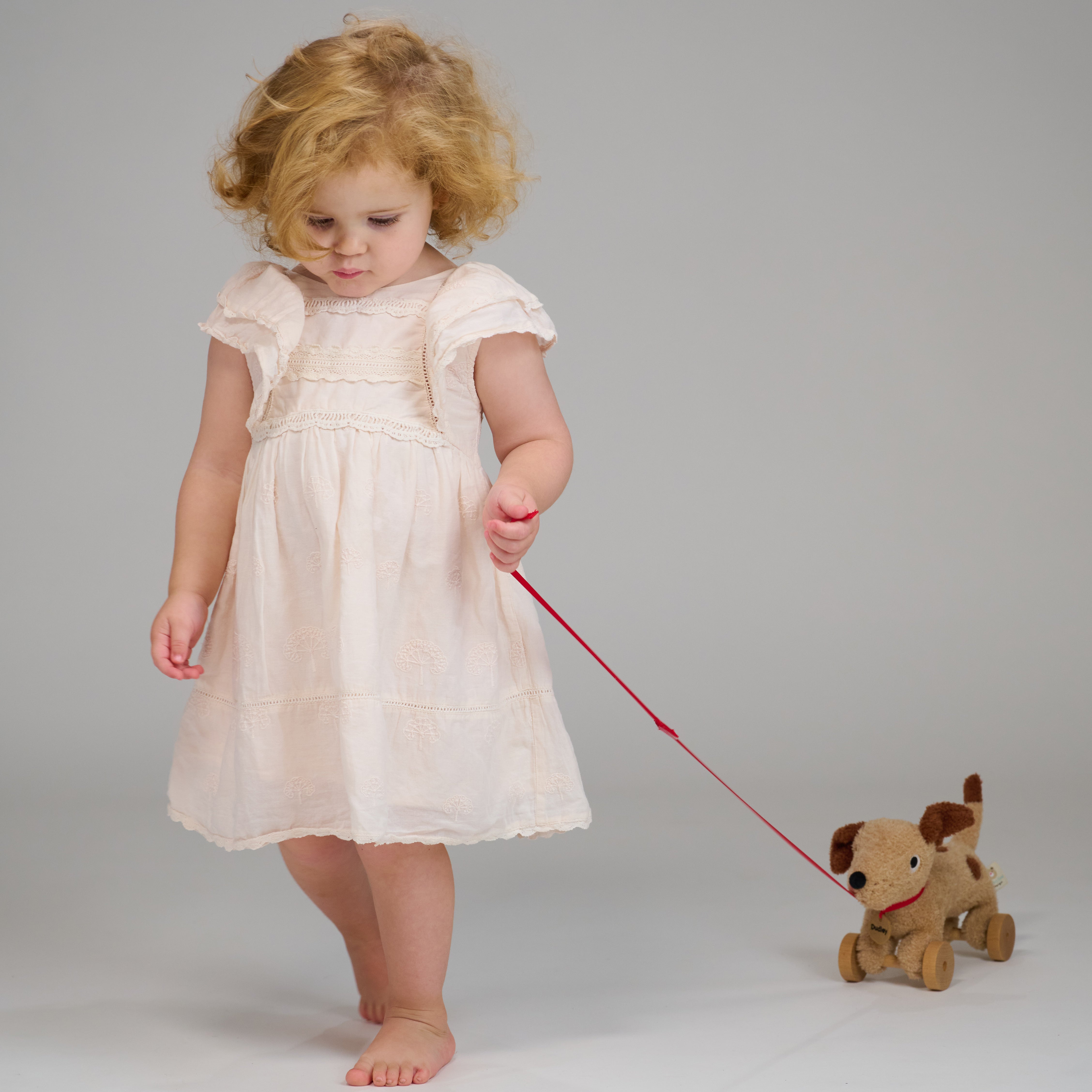 Soft puppy pull along toy with wooden wheels by ThreadBear Design