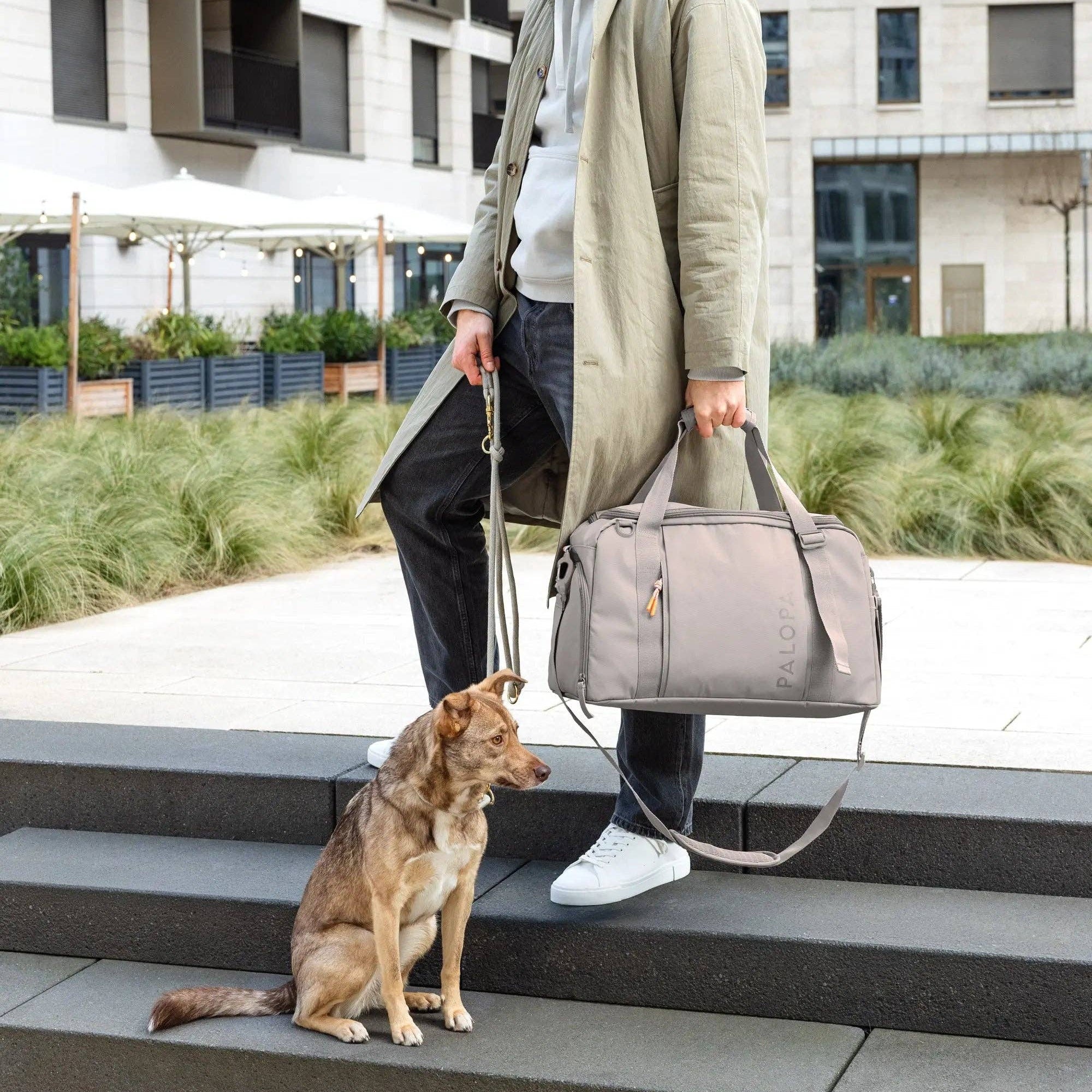 Man with a dog on a leash holding a gray bag in an urban setting
