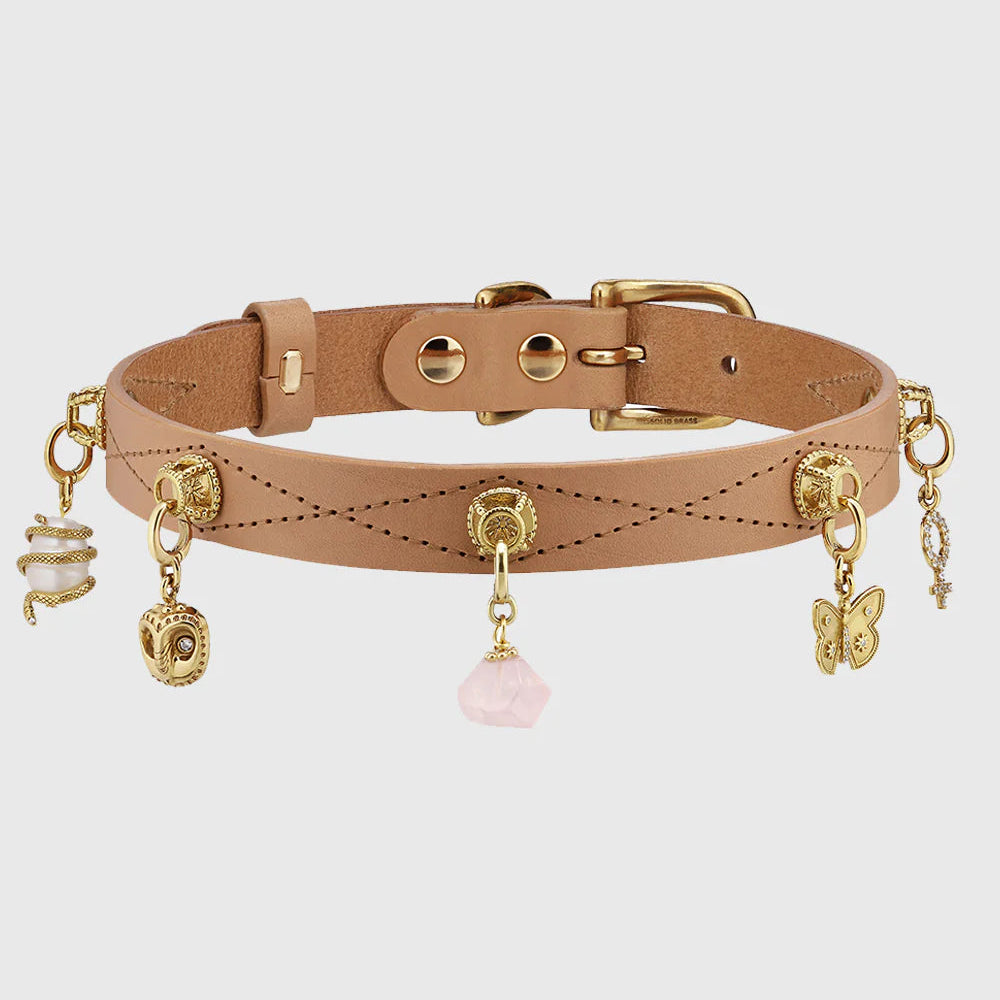 Brown leather choker with gold accents and charms on a light pink background