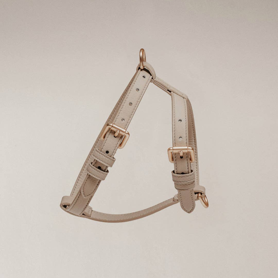Beige dog harness with rose gold hardware on a beige background