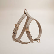 Beige dog harness on a beige background