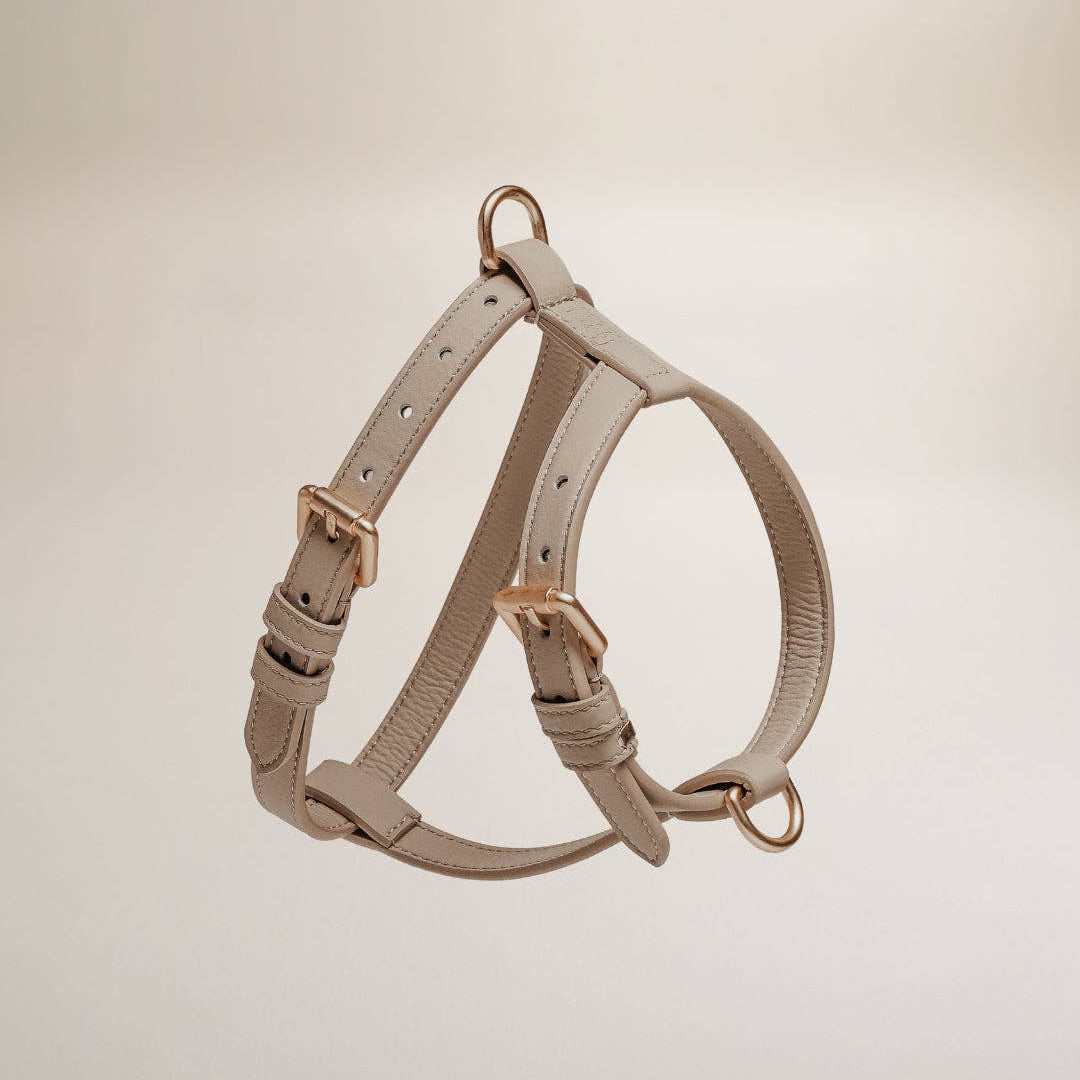 Beige dog harness on a beige background