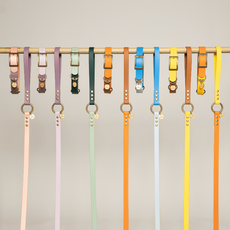 Genuine BioThane® waterproof dog collar handmade in France.