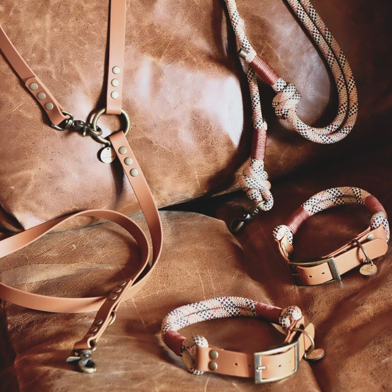Durable BioThane® dog collar designed for everyday adventures.
