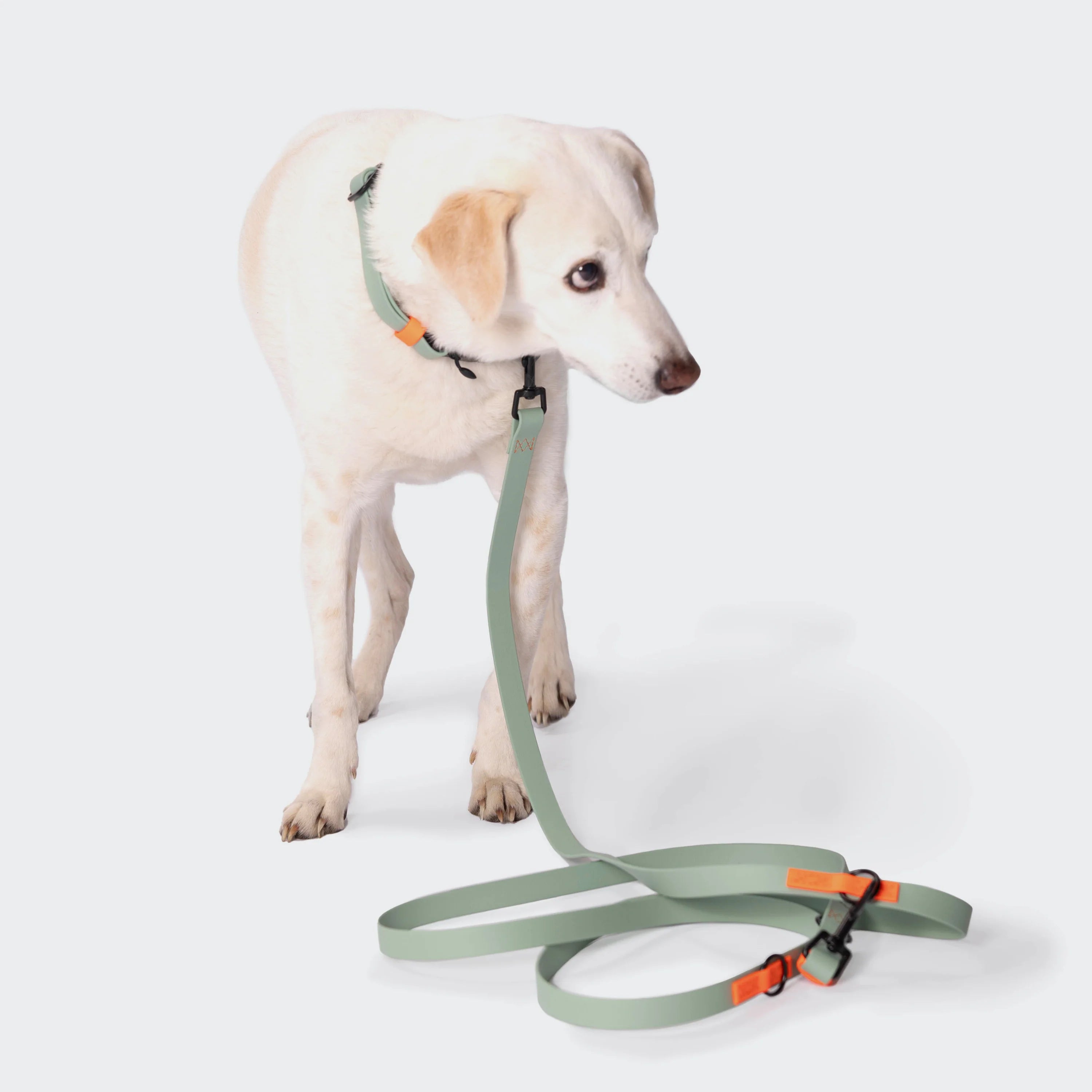 Cloud7 BioThane dog lead designed for crossbody and waist-worn walking.