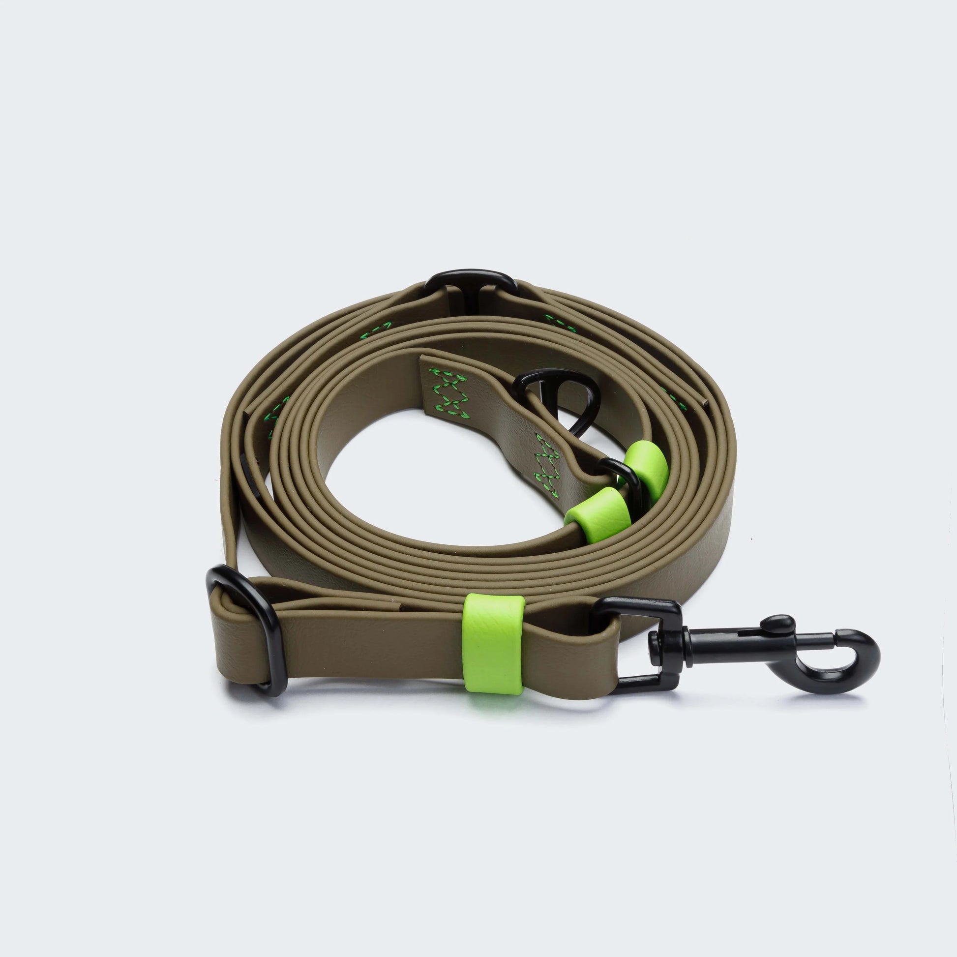 Dog leash with green accents on a white background