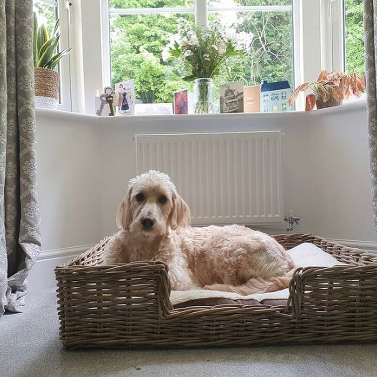 Natural Kubu rattan dog bed by Wovenhill