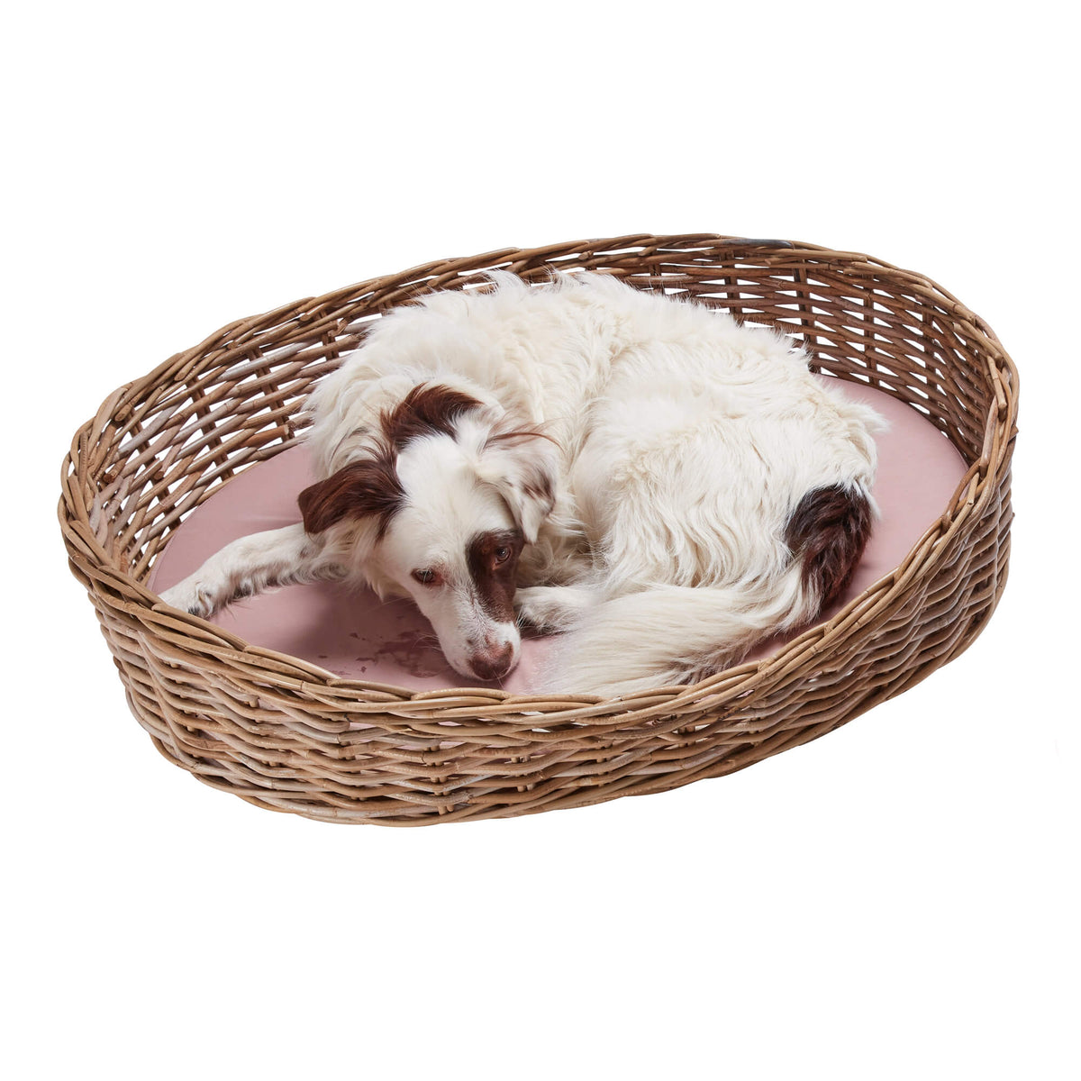 Large Kubu rattan oval dog bed with mattress