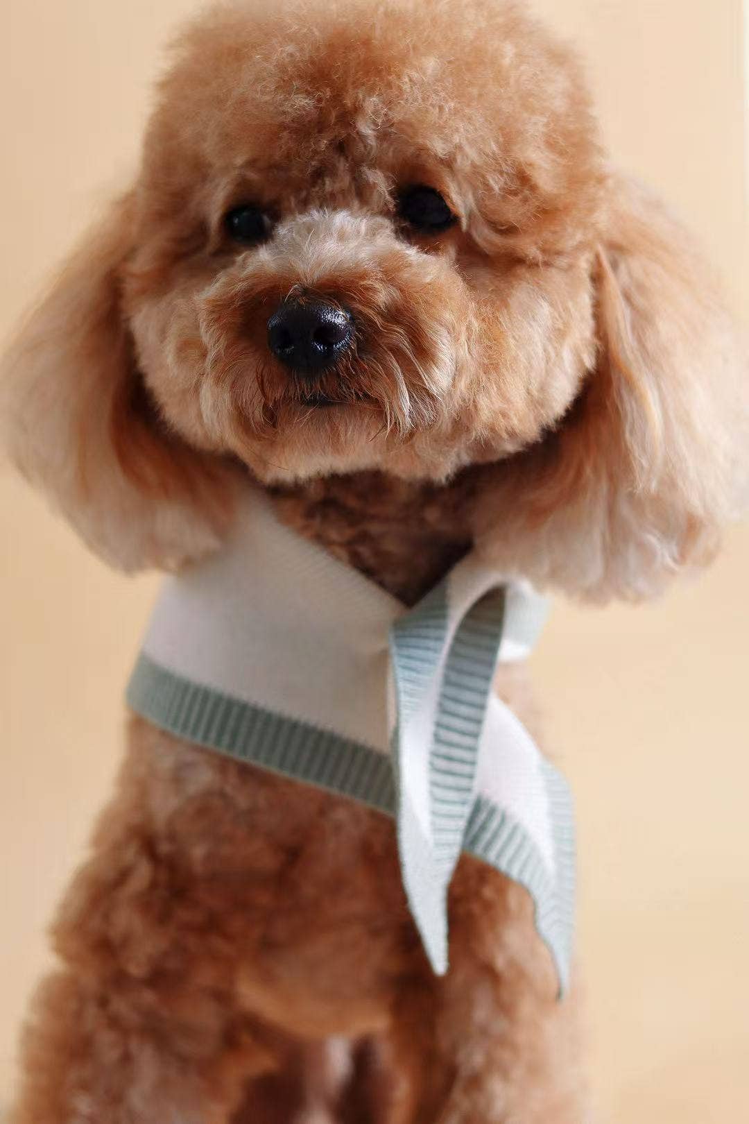 Chalky Mint Pet Bandana