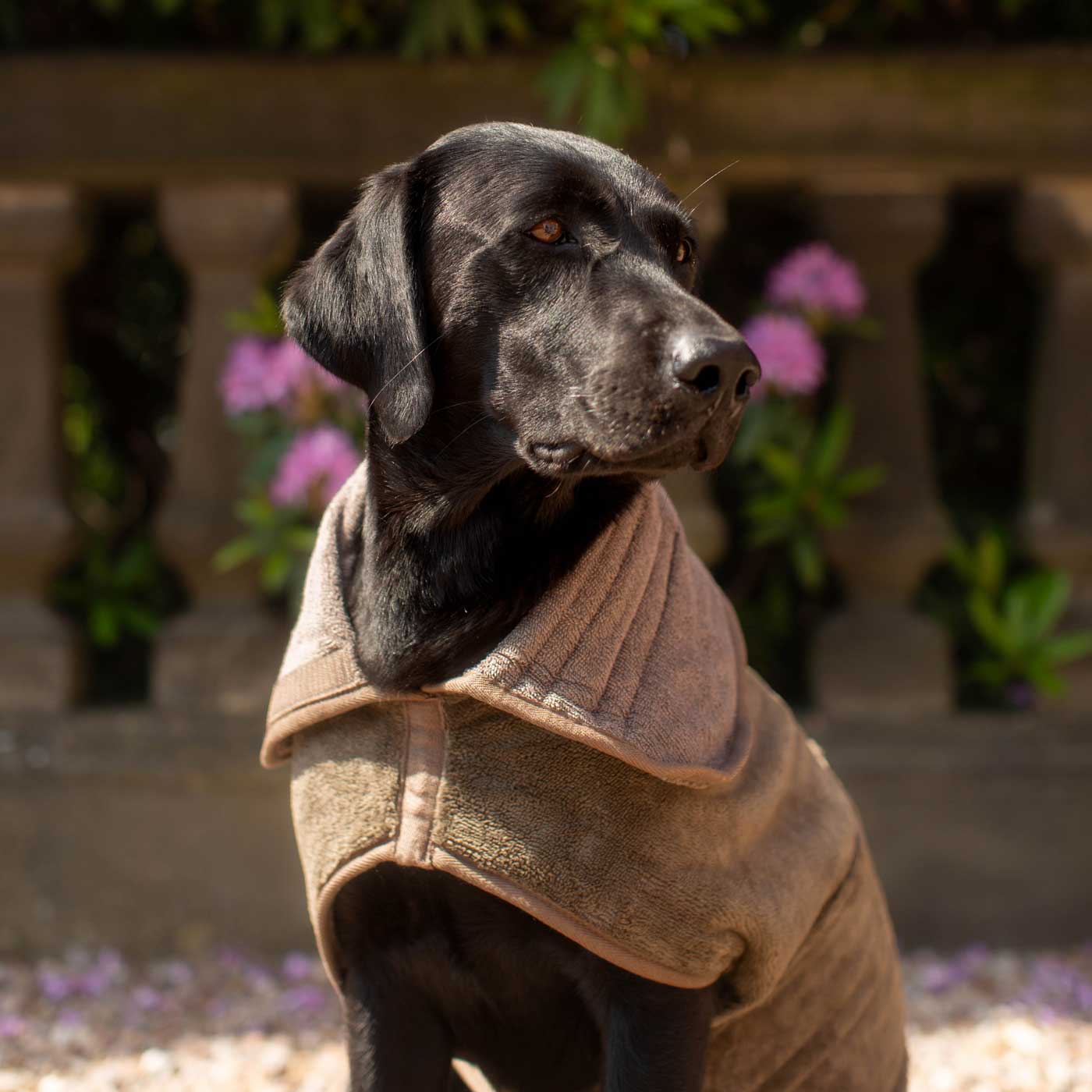 Luxury bamboo drying coat for dogs