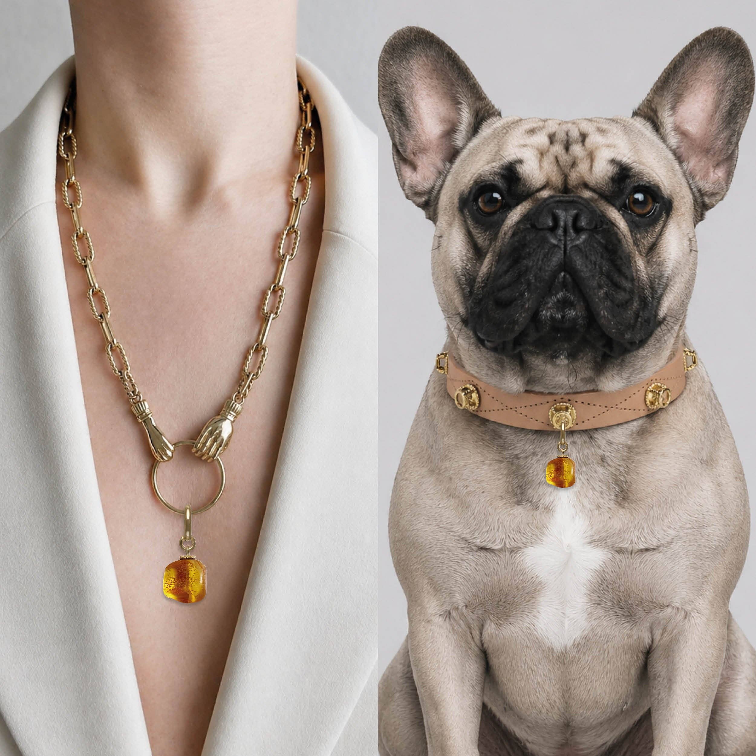 Luxury amber dog accessory for modern collars