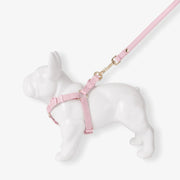 Pink dog harness and leash set on a white background