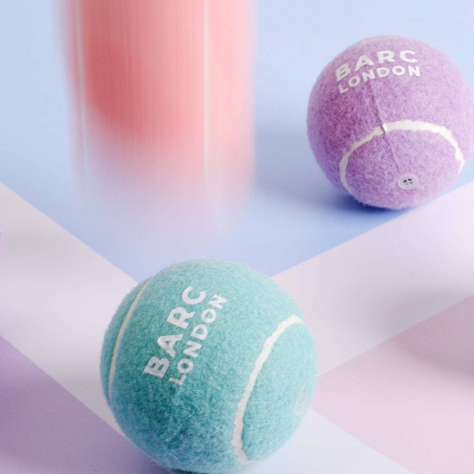 Dog playing fetch with the Blue Dog Ball by Barc London