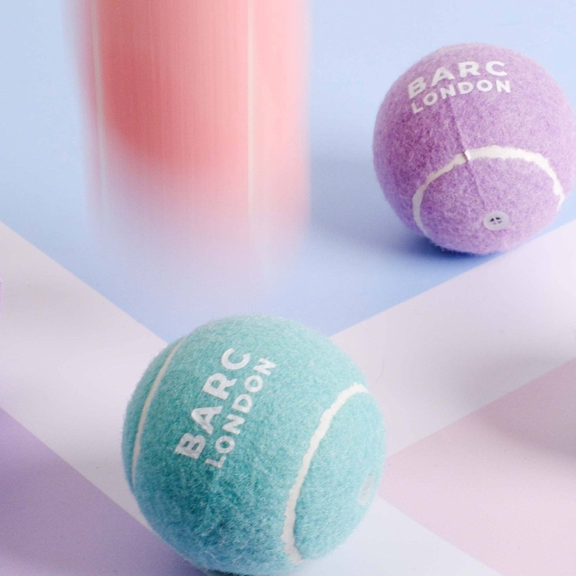 Dog playing fetch with the Blue Dog Ball by Barc London