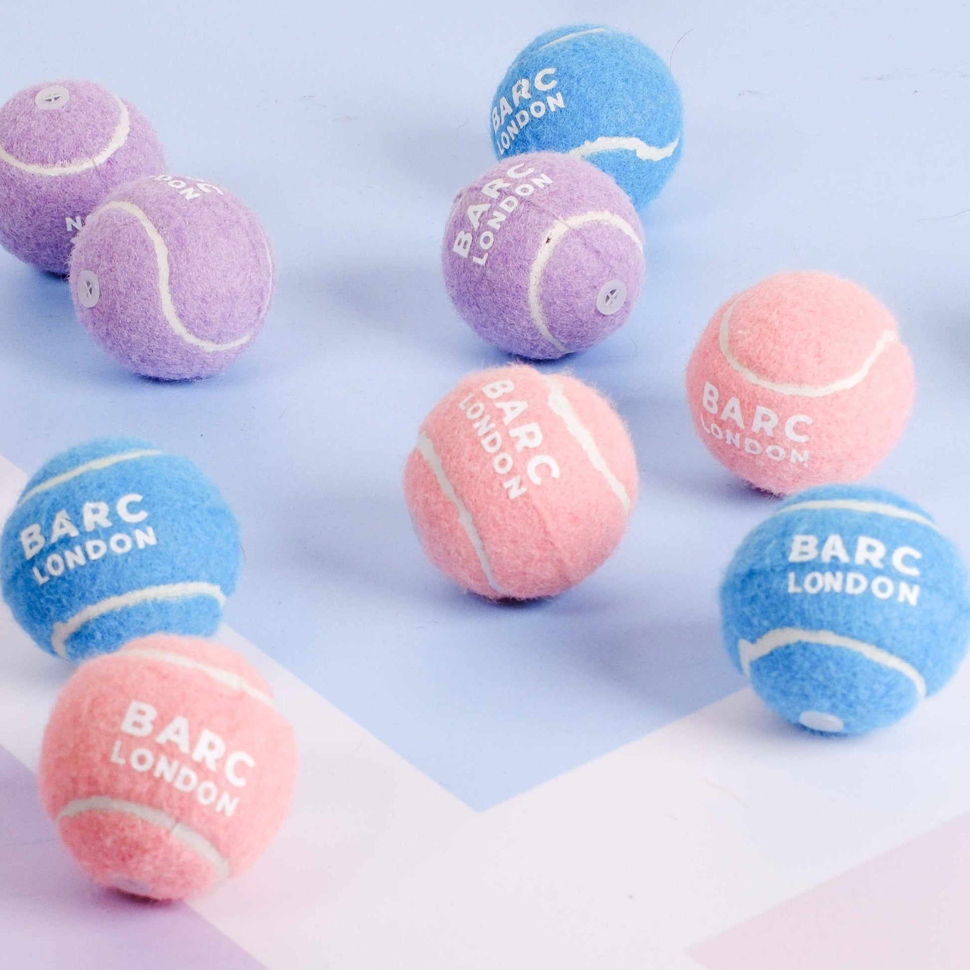 Small dog playing with the Blue Mini Dog Ball by Barc London