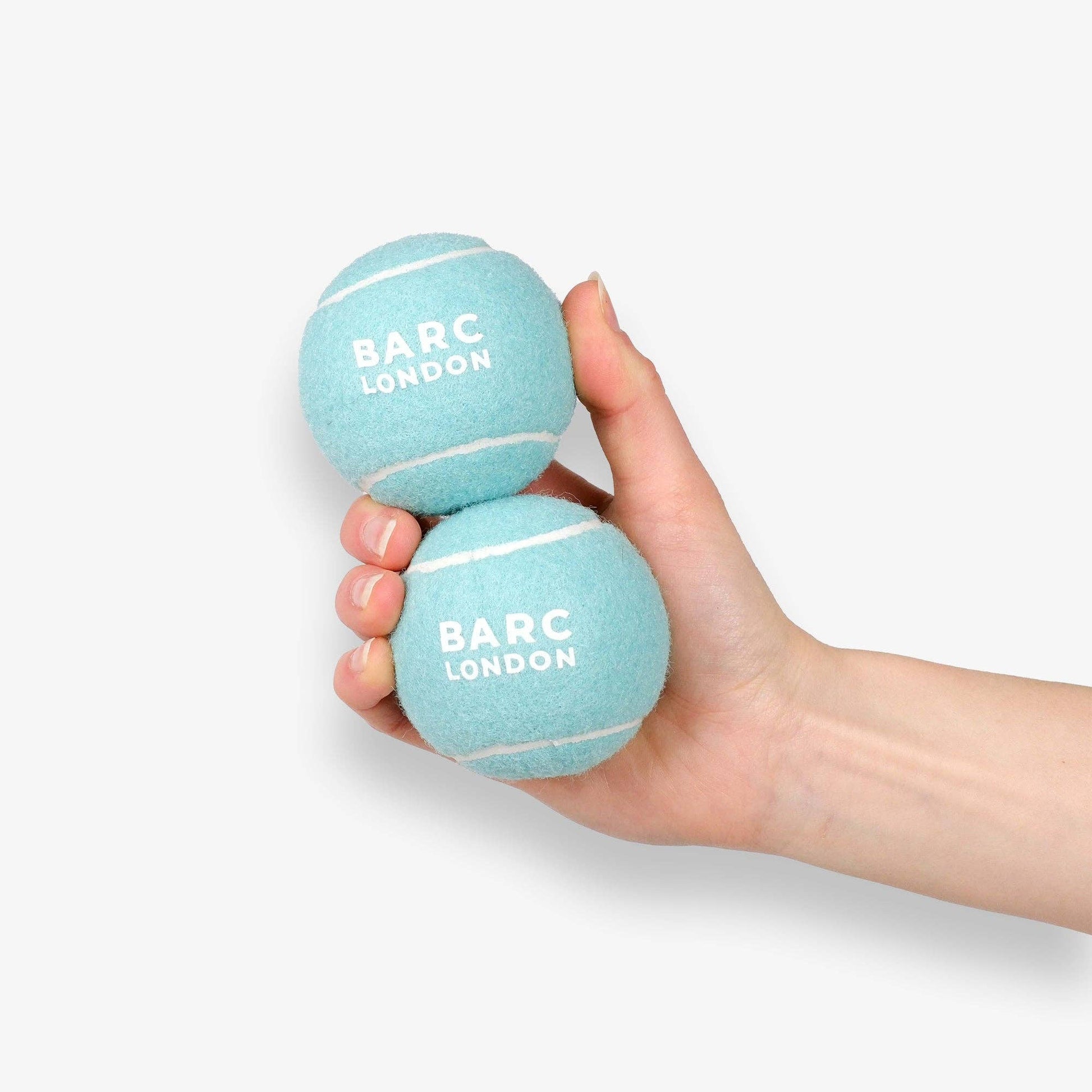 Close-up of the Blue Dog Ball set by Barc London