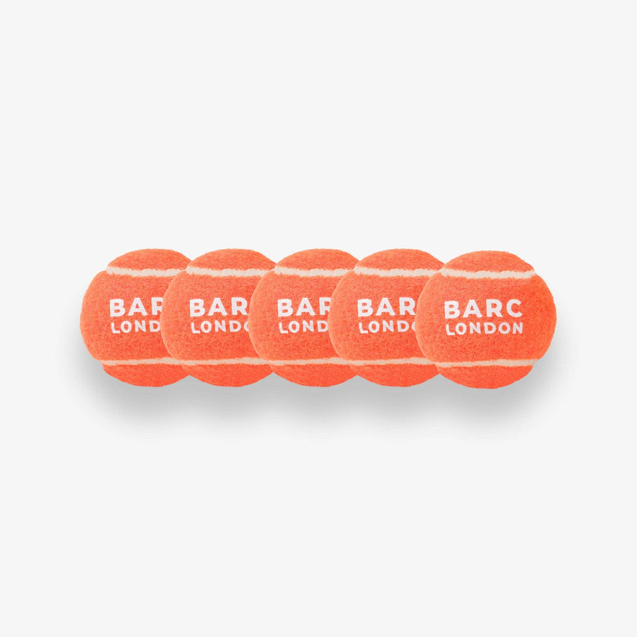 Dog Ball - Orange Mini Pk5