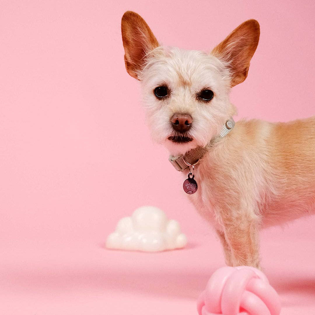 Close-up of the Cloud Squeaky Dog Toy by Barc London