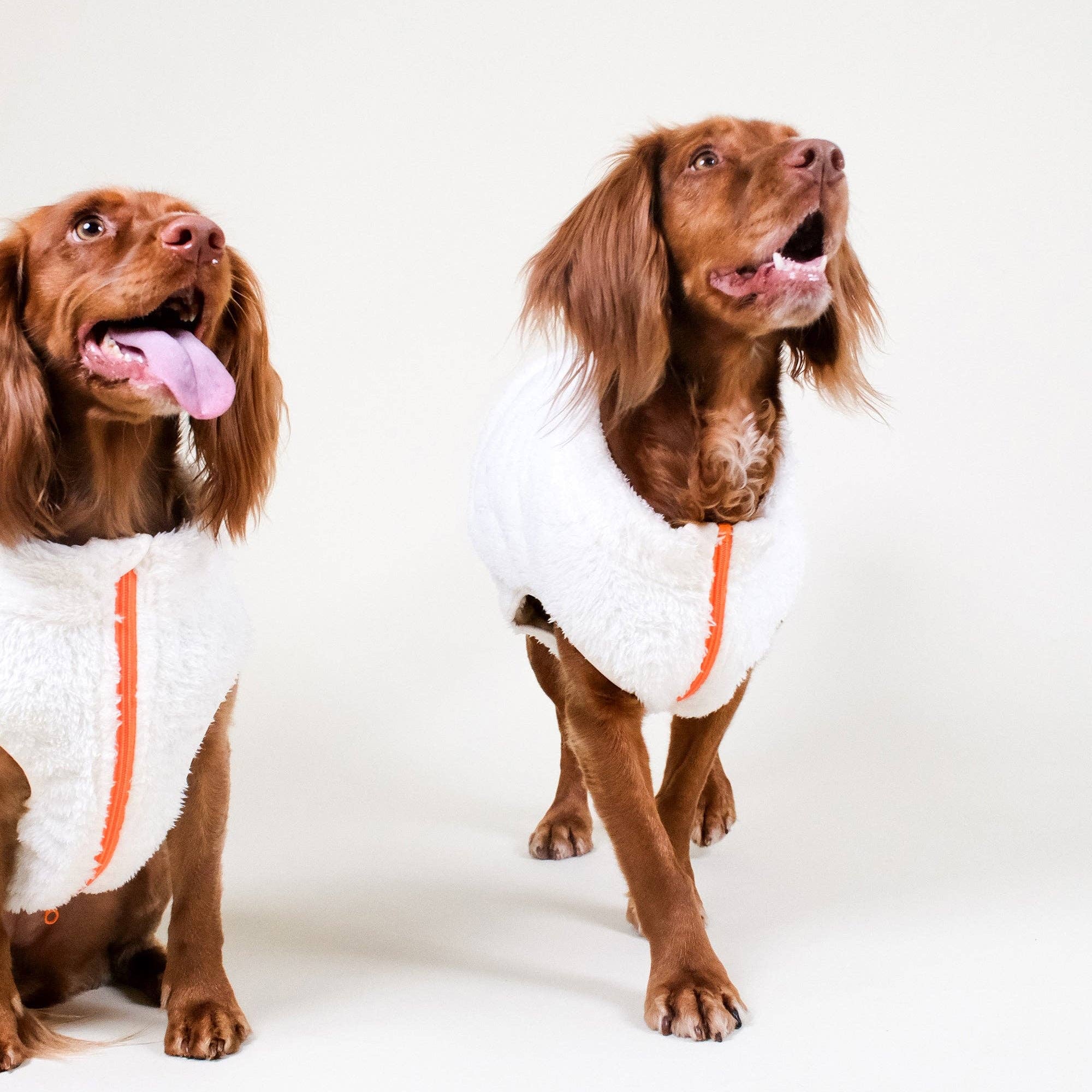 Cream Sherpa Fleece Dog Vest by Barc London image