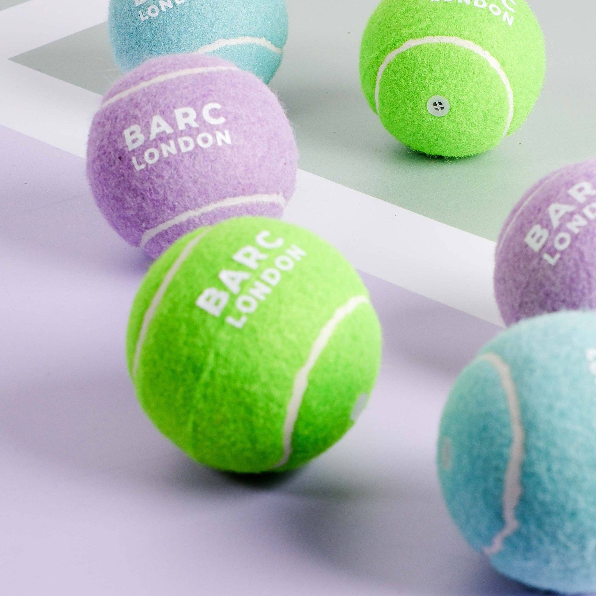 Dog playing fetch with the Green Dog Ball by Barc London