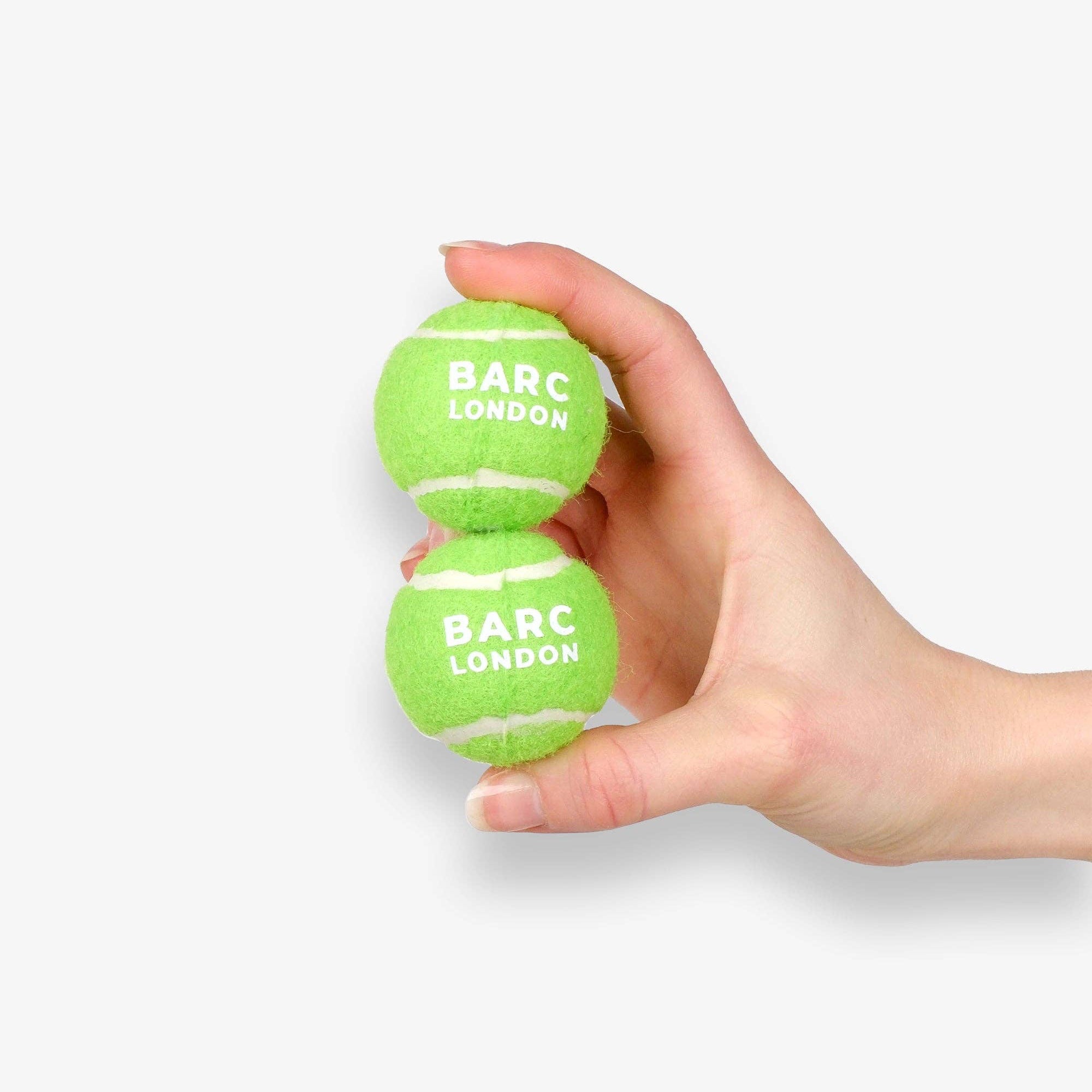 Small dog playing with the Lime Green Mini Dog Ball by Barc London