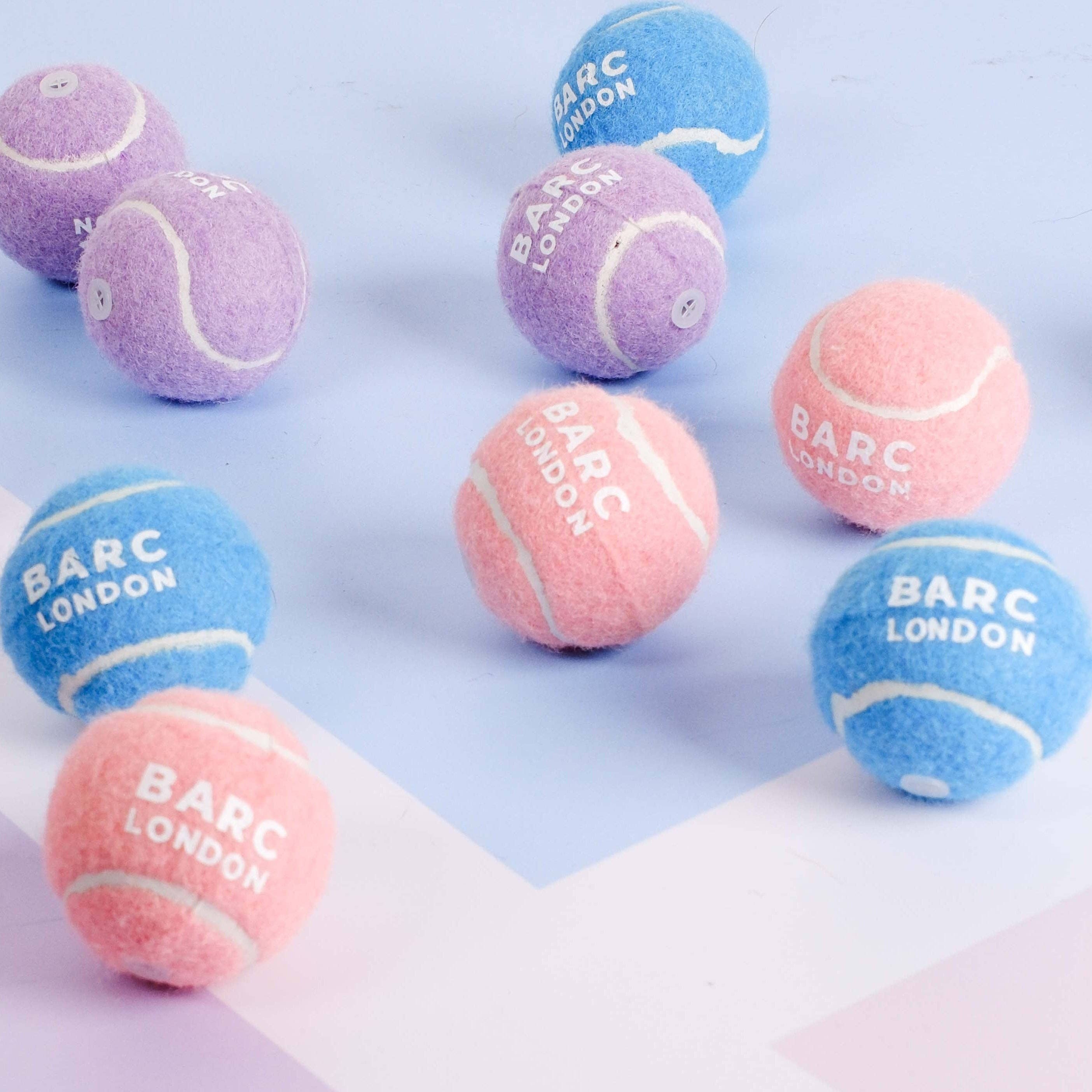 Small dog playing with the Pink Mini Dog Ball by Barc London