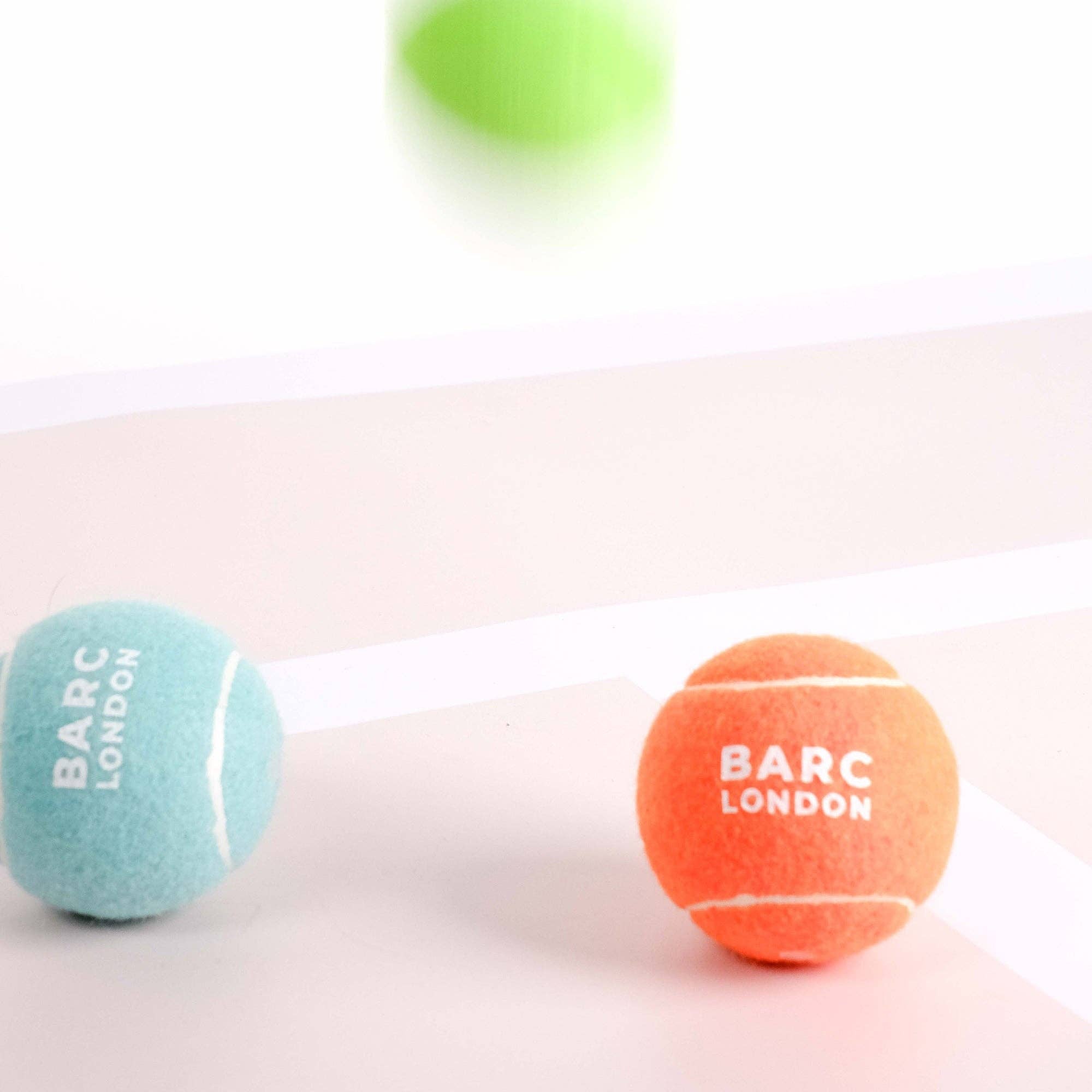 Dog playing fetch with the Orange Dog Ball by Barc London