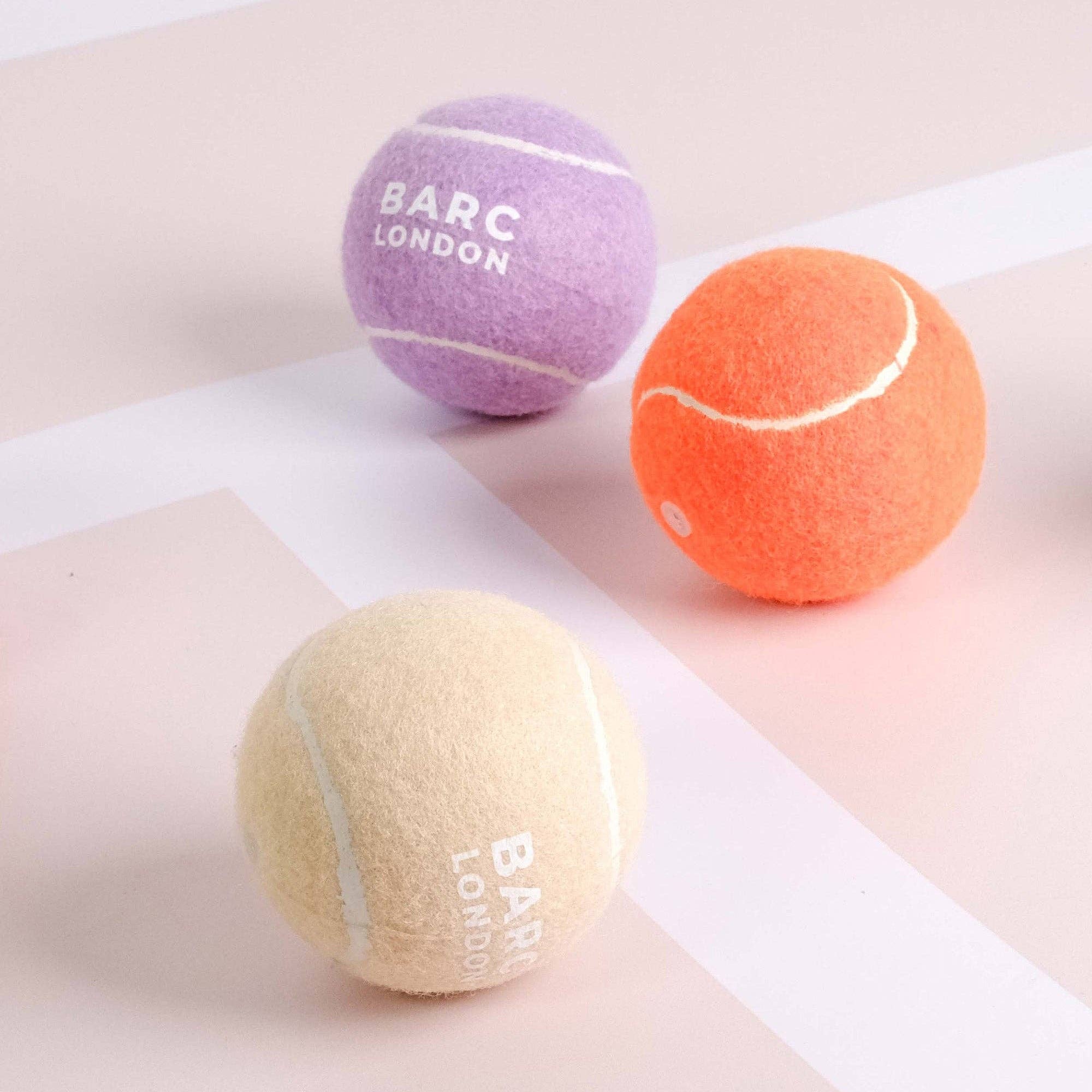 Dog playing fetch with the cream Dog Ball by Barc London

