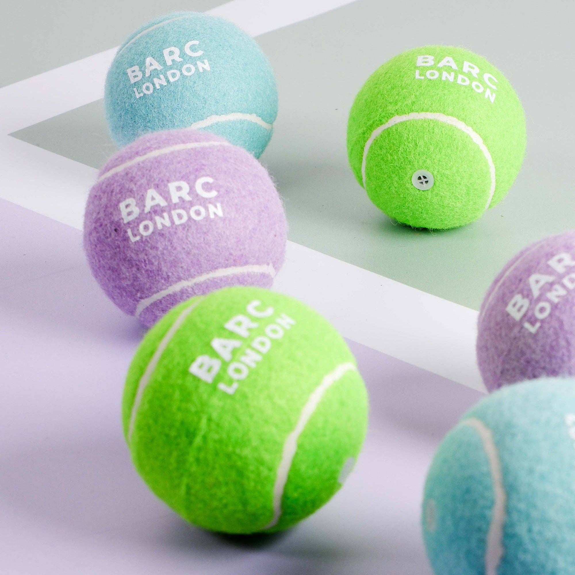 Dog playing fetch with the Lilac Dog Ball by Barc London