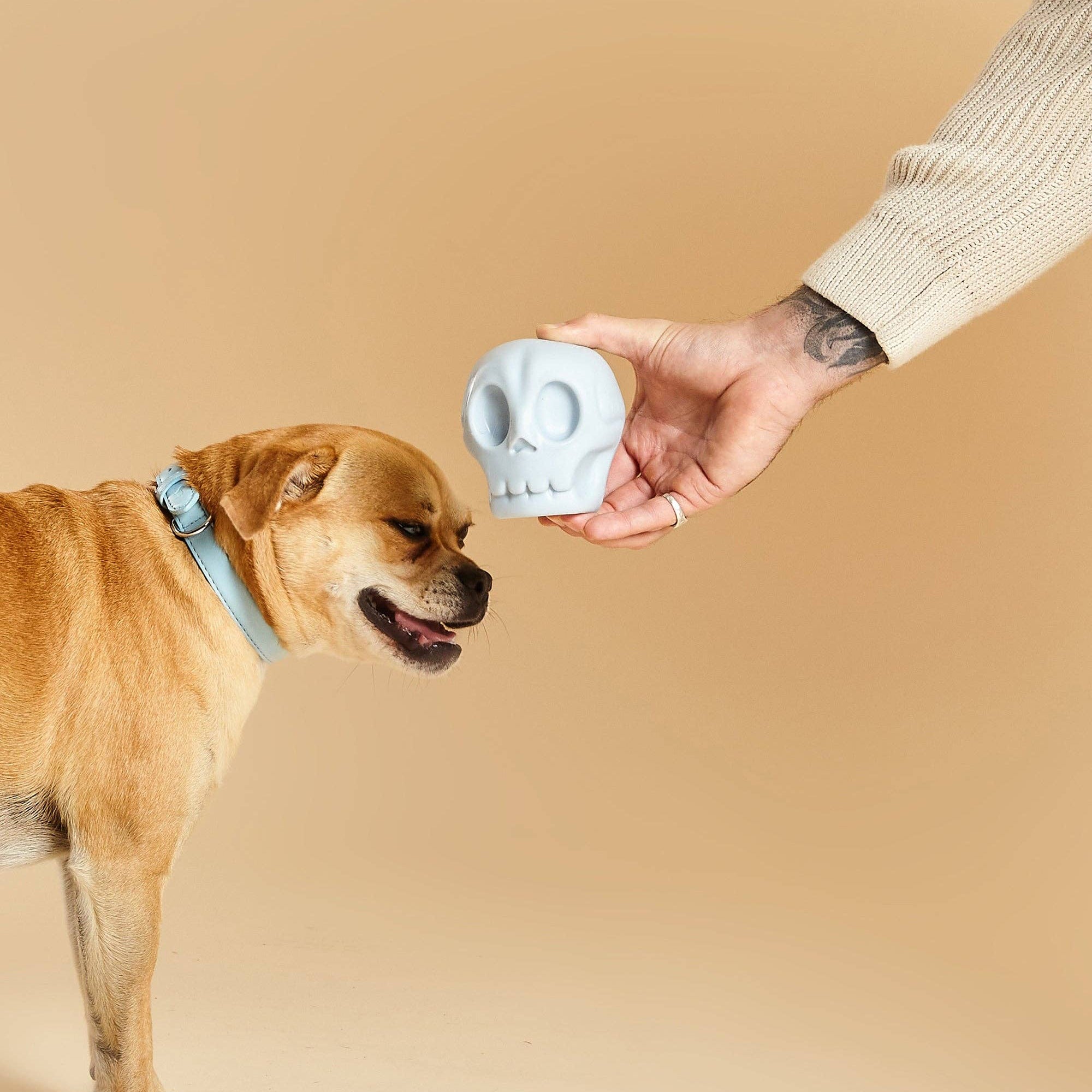 Skully Squeaky Dog Toy by Barc London
play