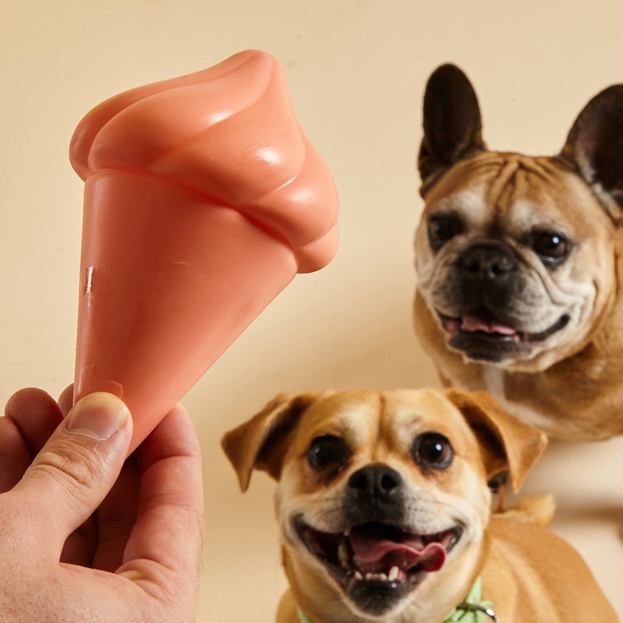 Close-up of the Whippy Dog Squeaker by Barc London