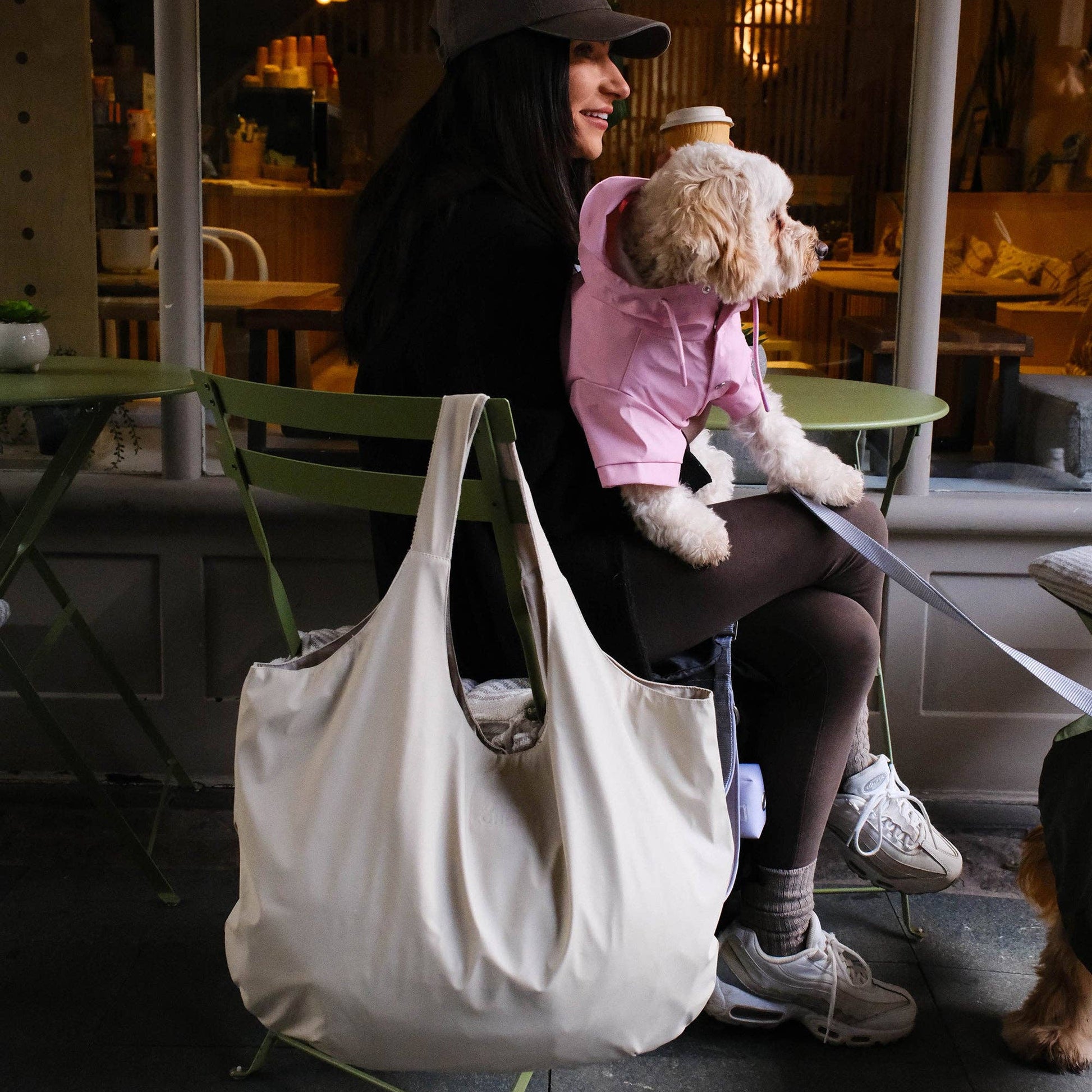 Stone Everyday Tote by Barc London used on a dog walk