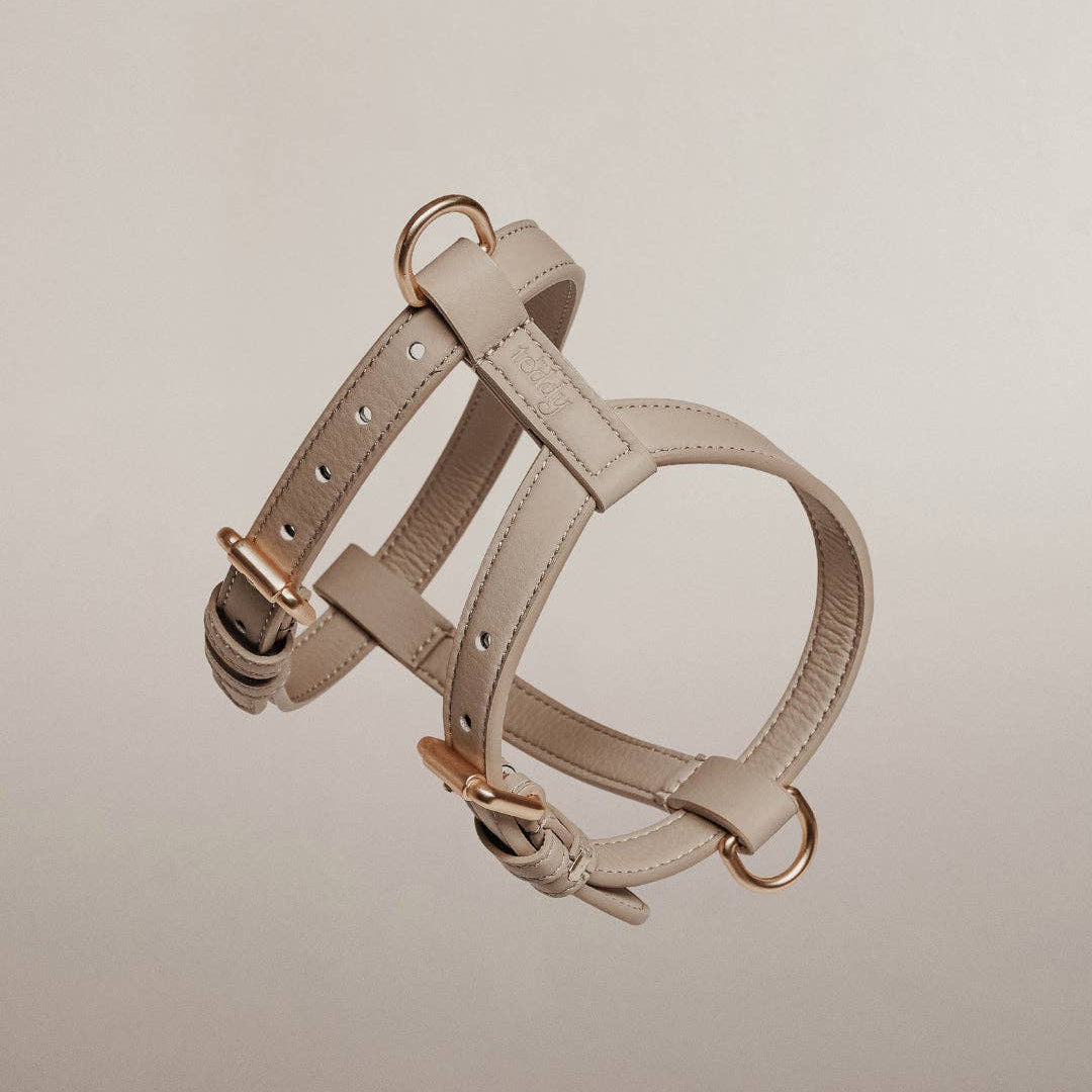 Beige dog harness with gold hardware on a beige background