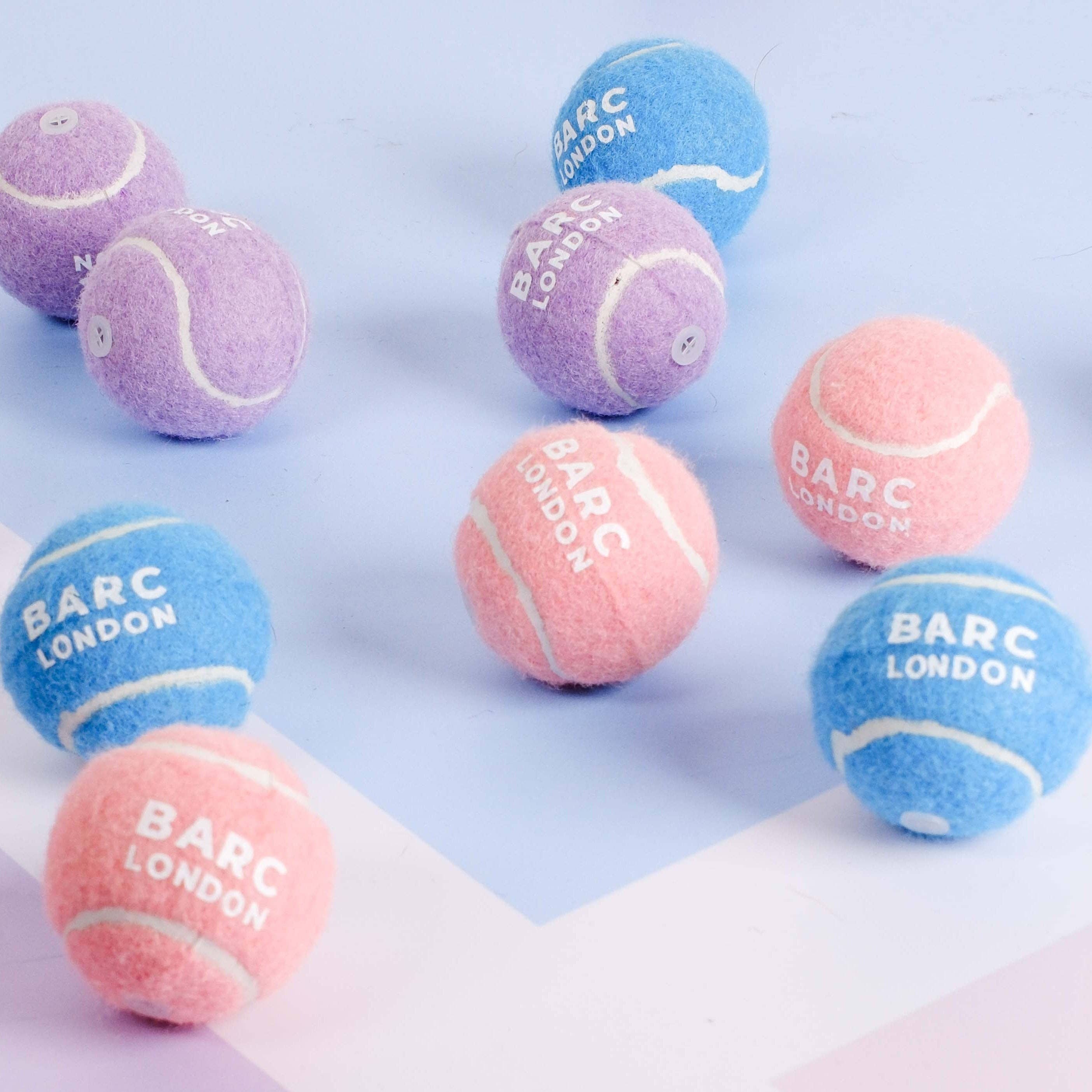 Small dog playing with the Pink Mini Dog Ball by Barc London