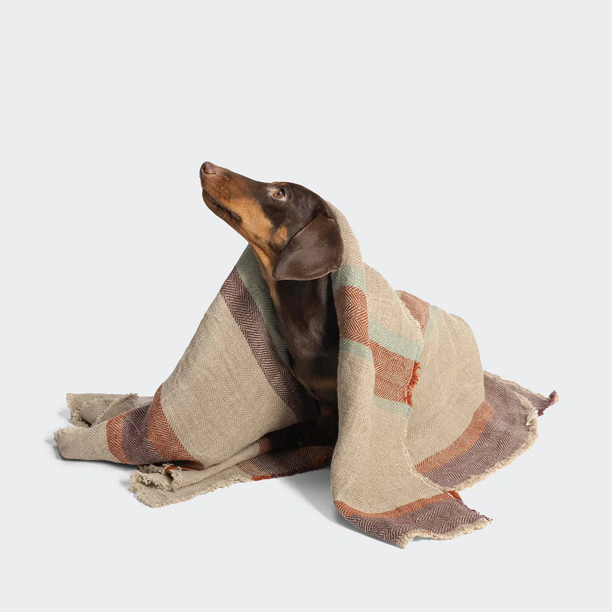 Blankets
