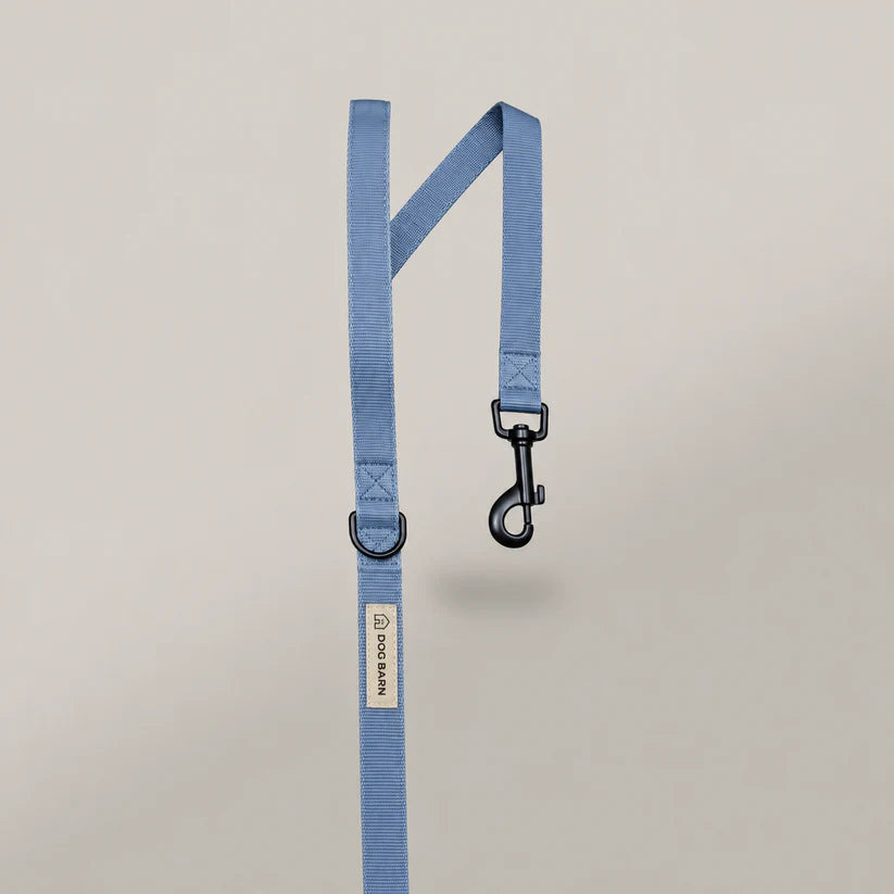 Blue Sky Corded Lead
